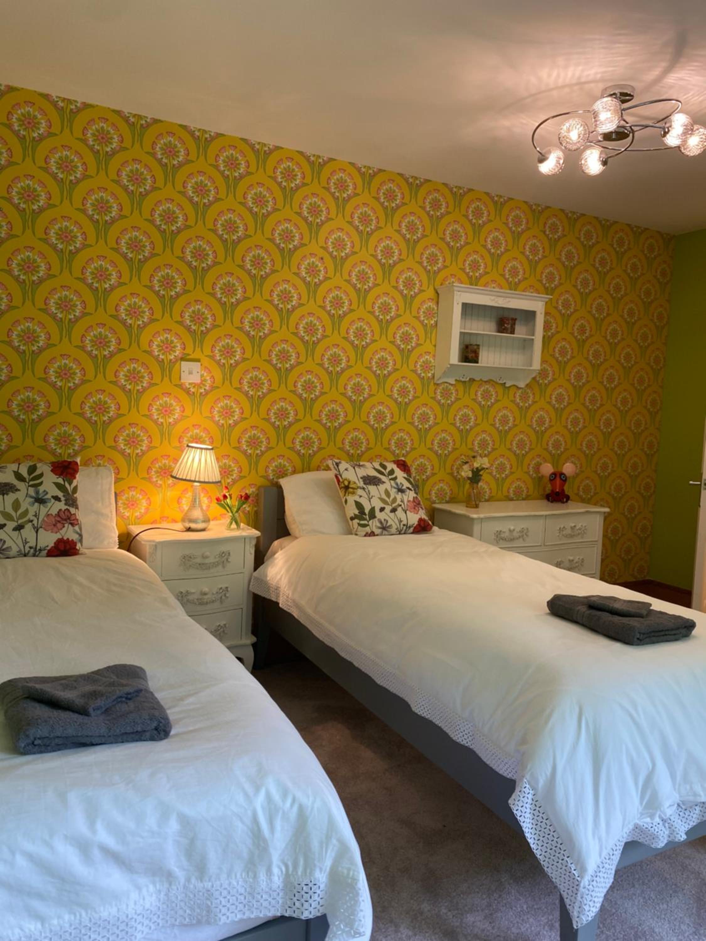 Couple and Pet Friendly Holiday Private Hot Tub and Alpacas Dorset UK