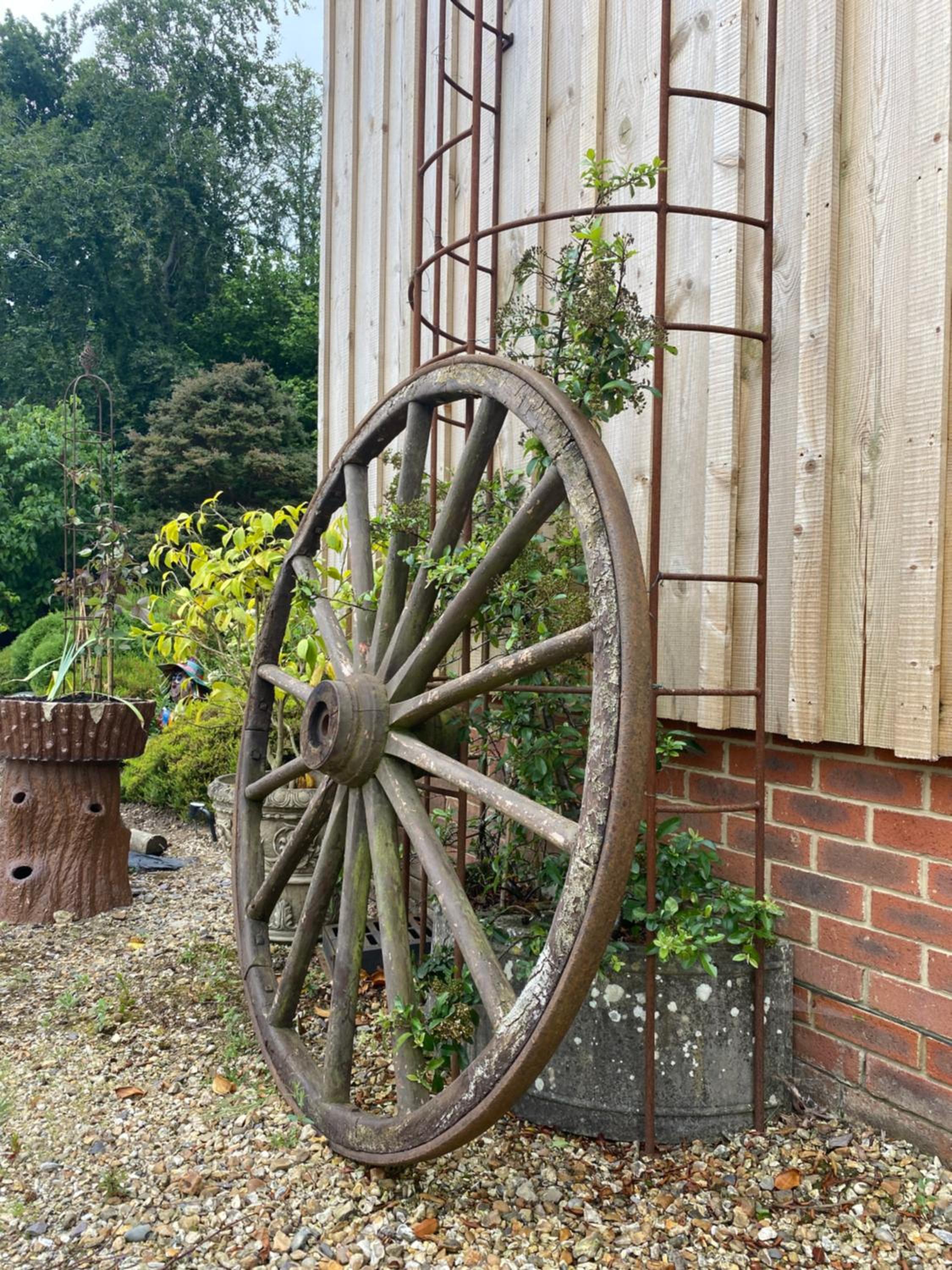 Couple and Pet Friendly Holiday Private Hot Tub and Alpacas Dorset UK