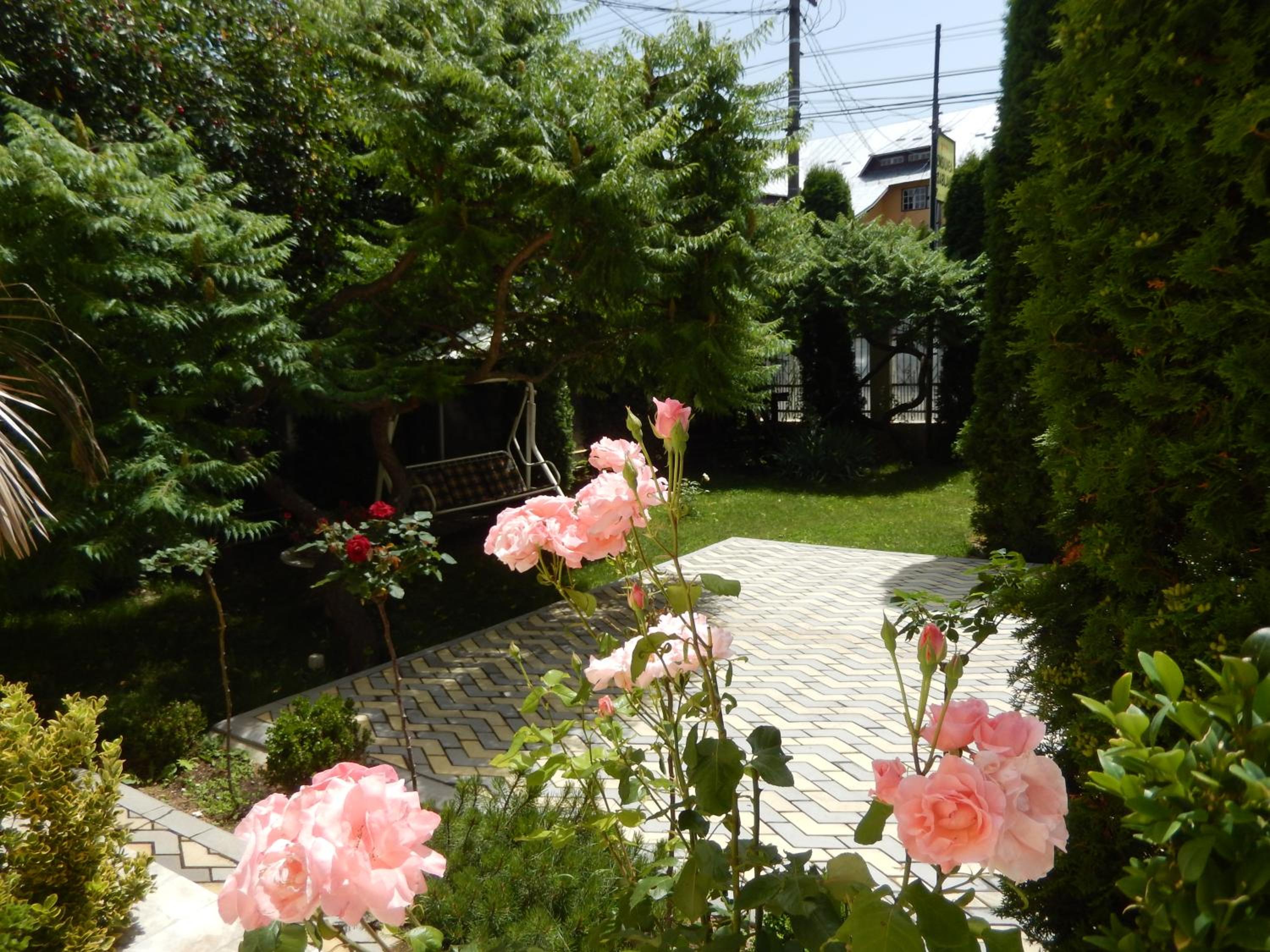 Photo 36