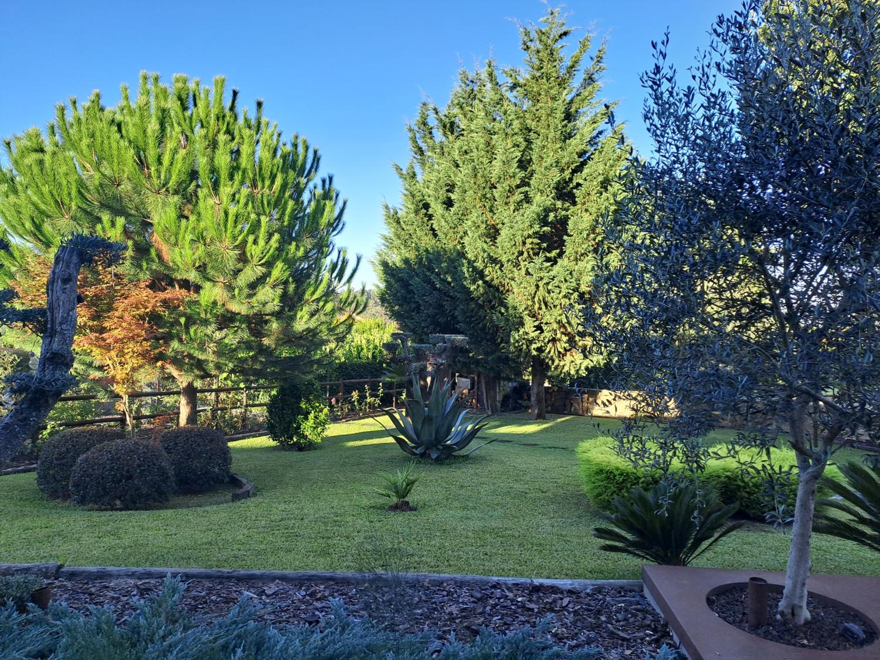 CAMPO DE SOBARBO - Guest House rural, photo 36