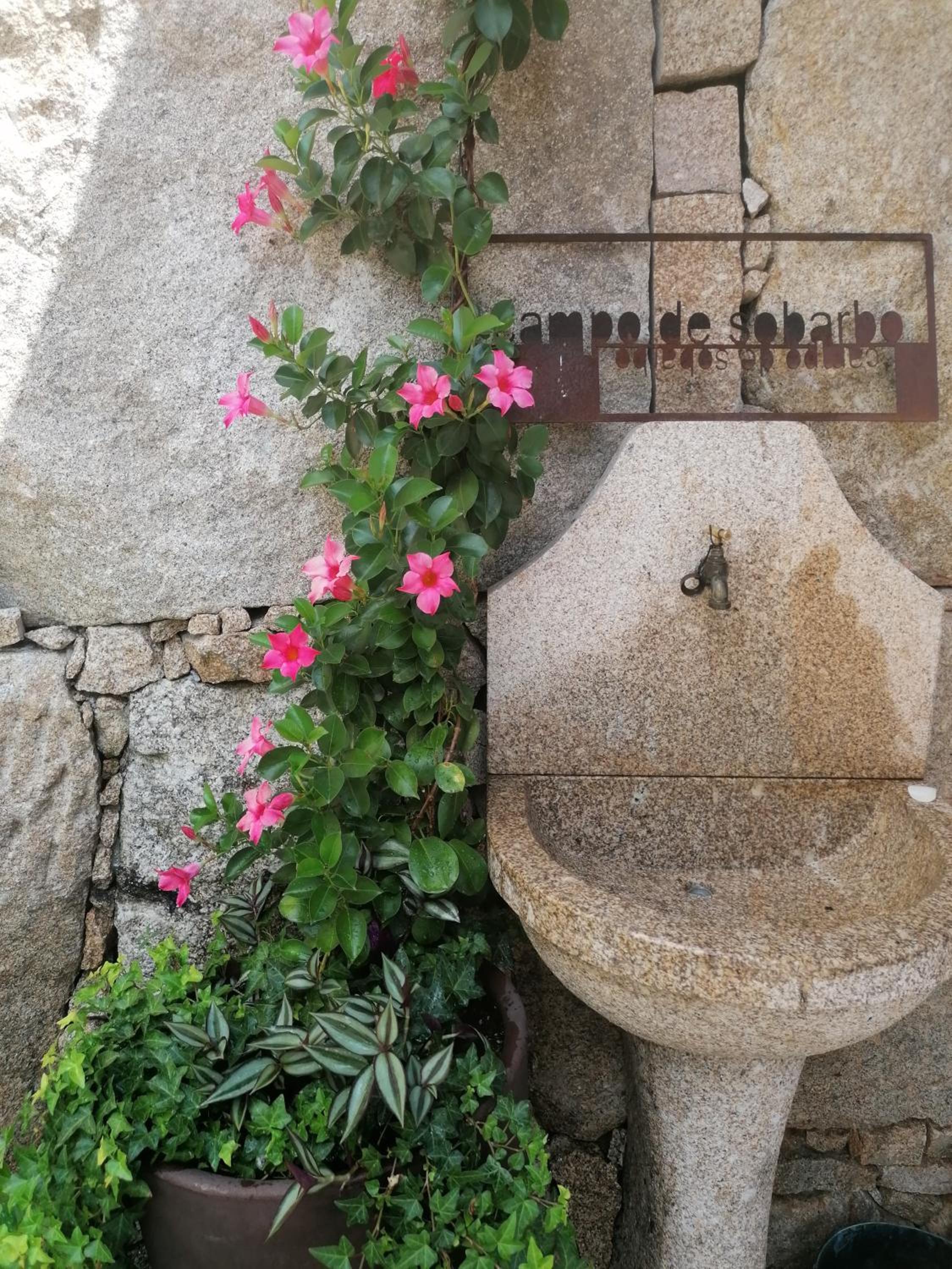 CAMPO DE SOBARBO - Guest House rural, photo 28
