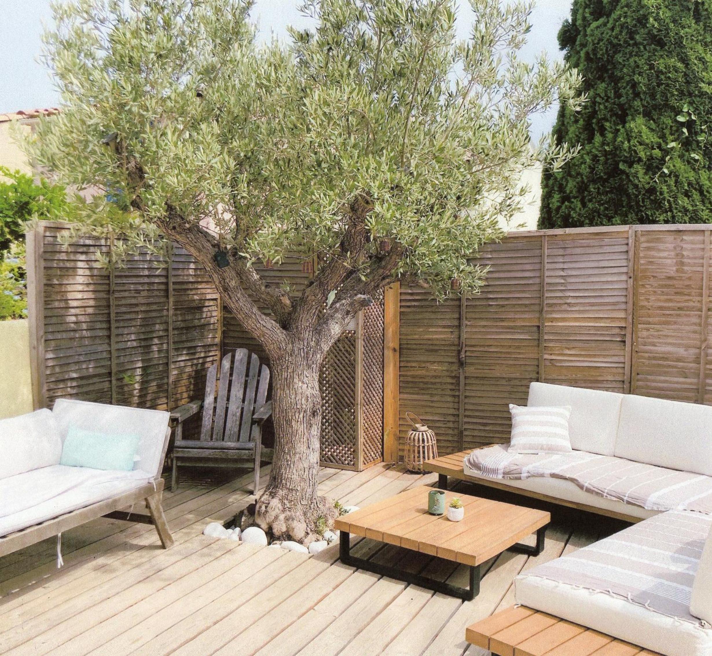 MAZET RÉNOVE Golfe de st TROPEZ