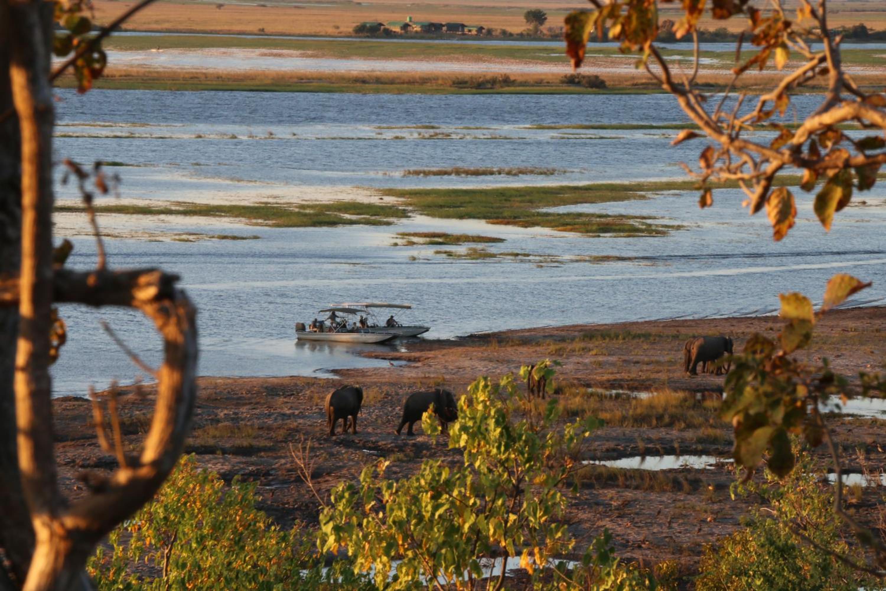 Elephant Valley Lodge
