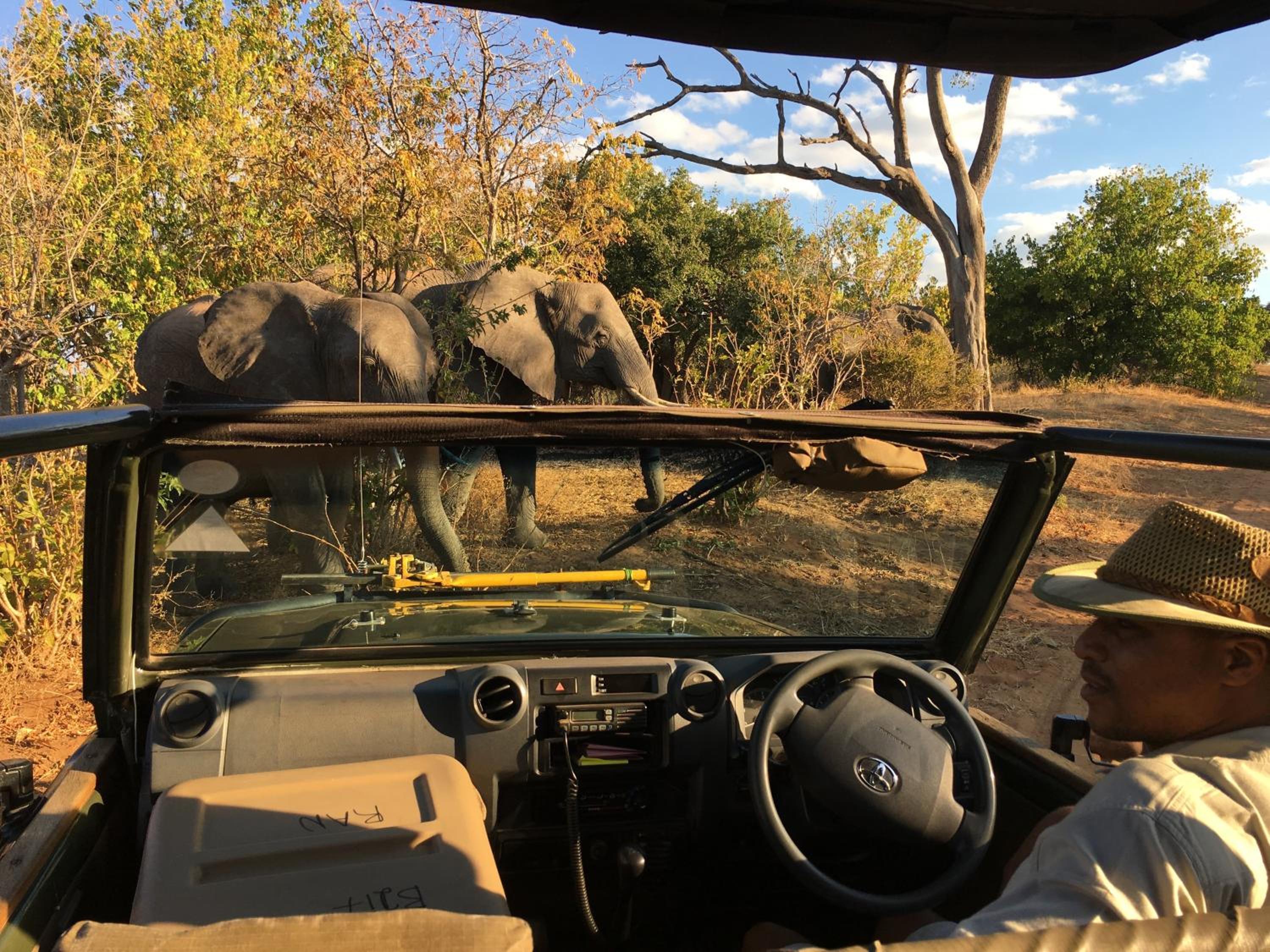 Elephant Valley Lodge