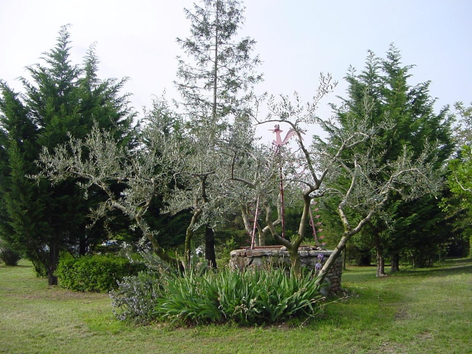 Agriturismo Radaméz