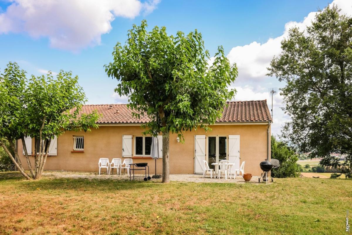 La vue d'Albi - Campagne - Jardin