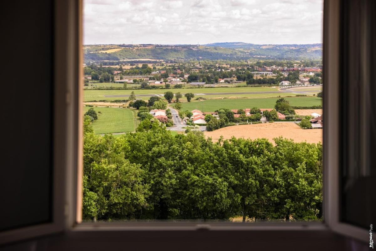 La vue d'Albi - Campagne - Jardin