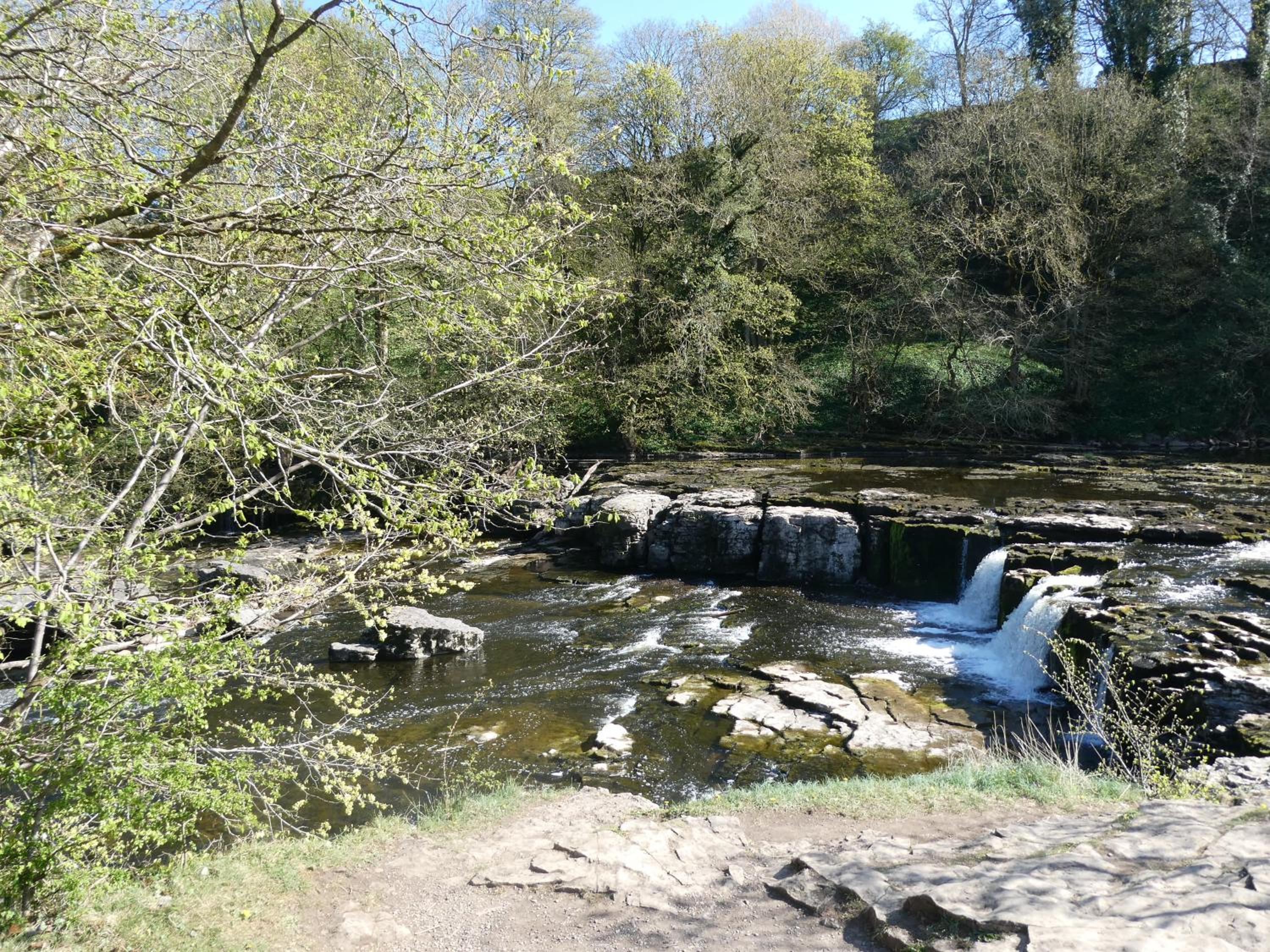 Photo 25