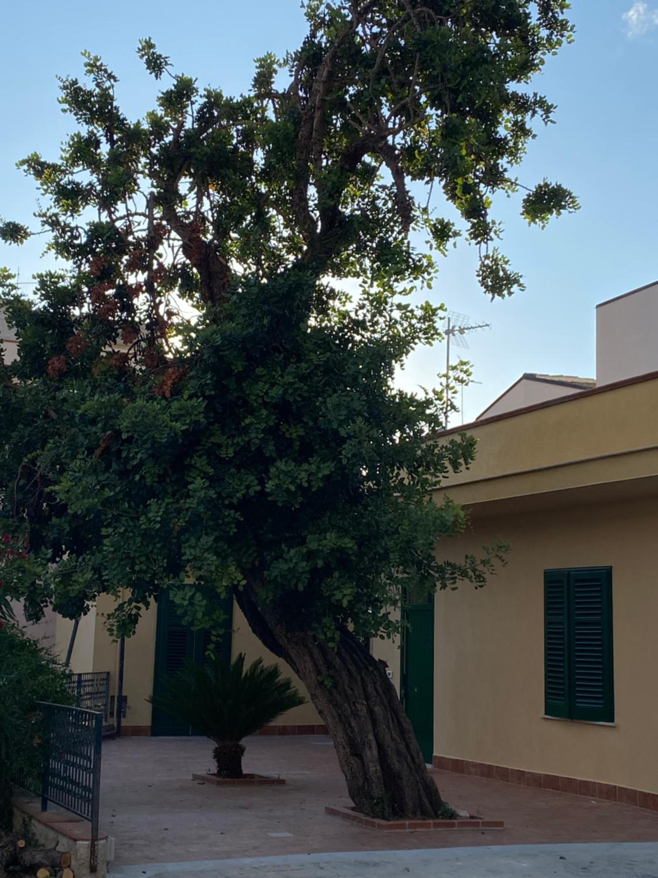 Villa Amalia Mondello
