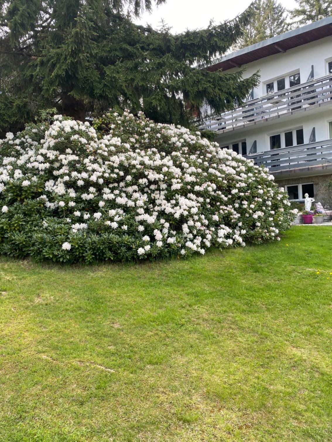 Photo 30