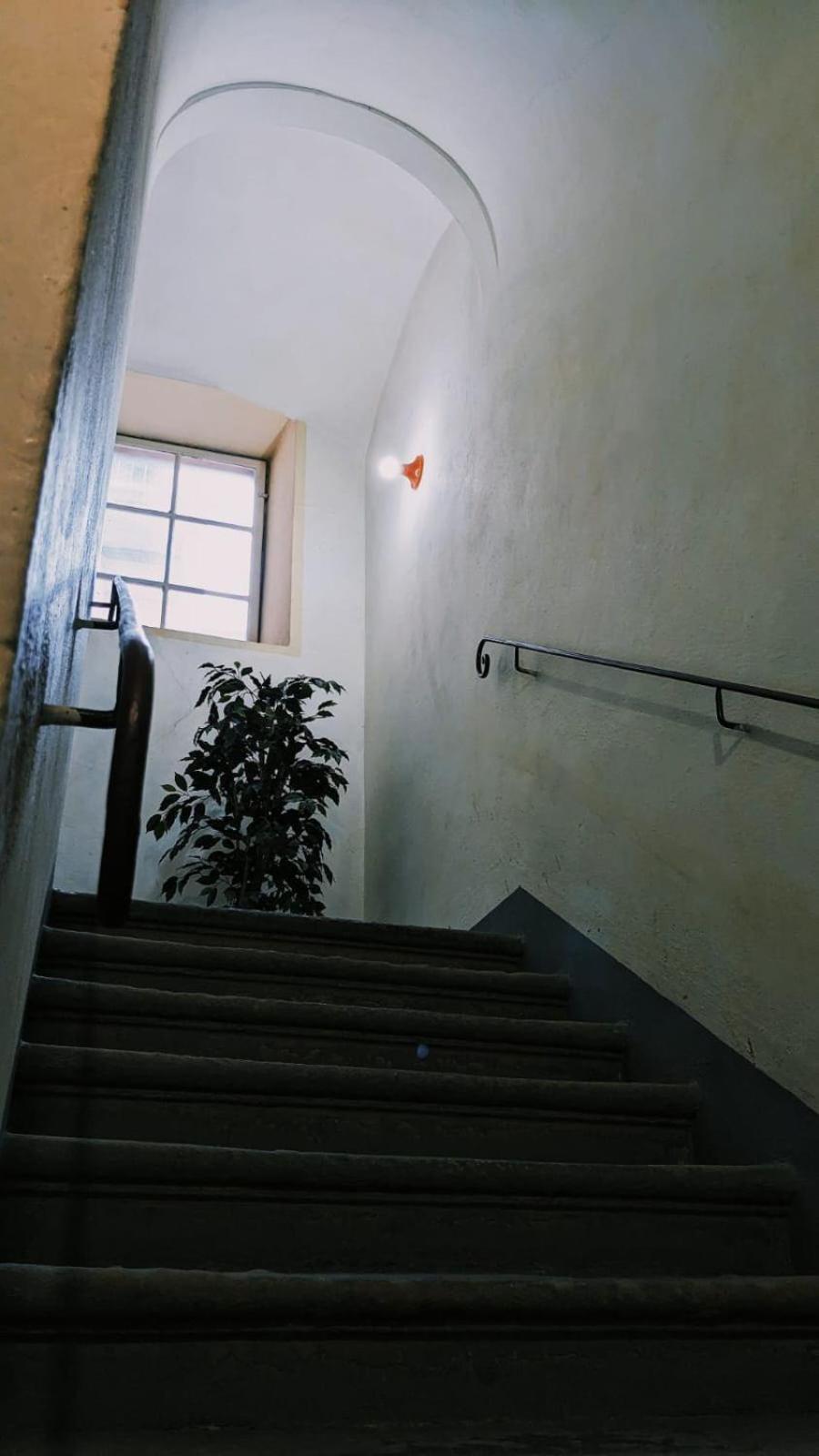 Casa Pepe