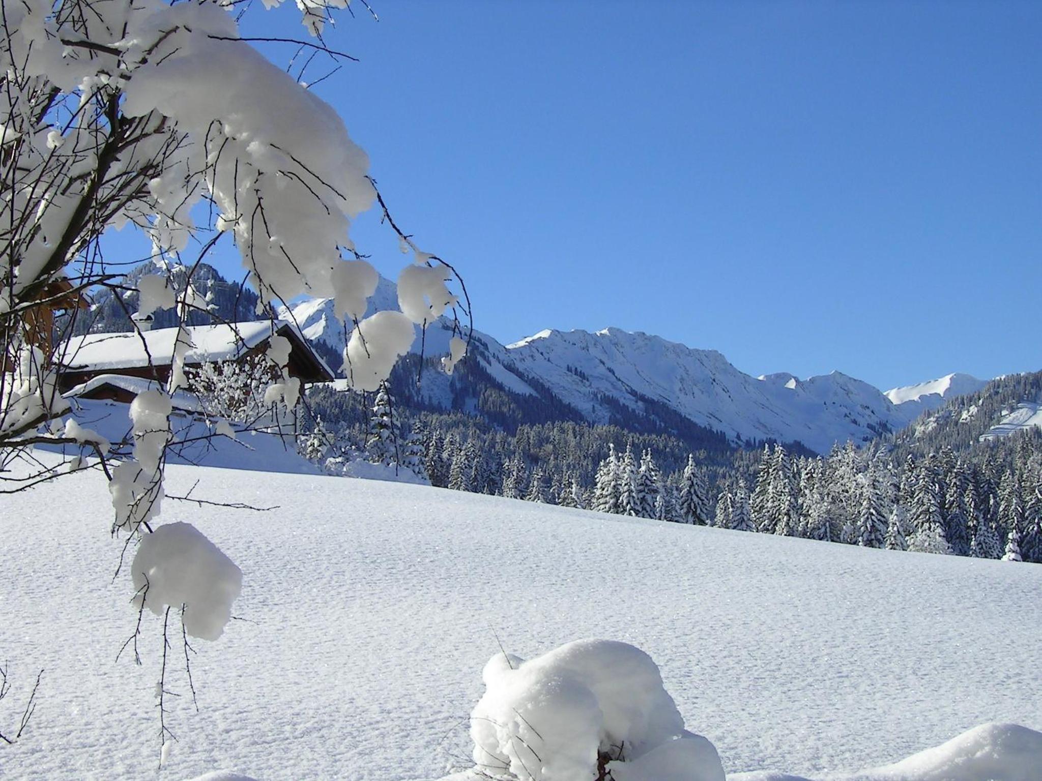 Photo 44