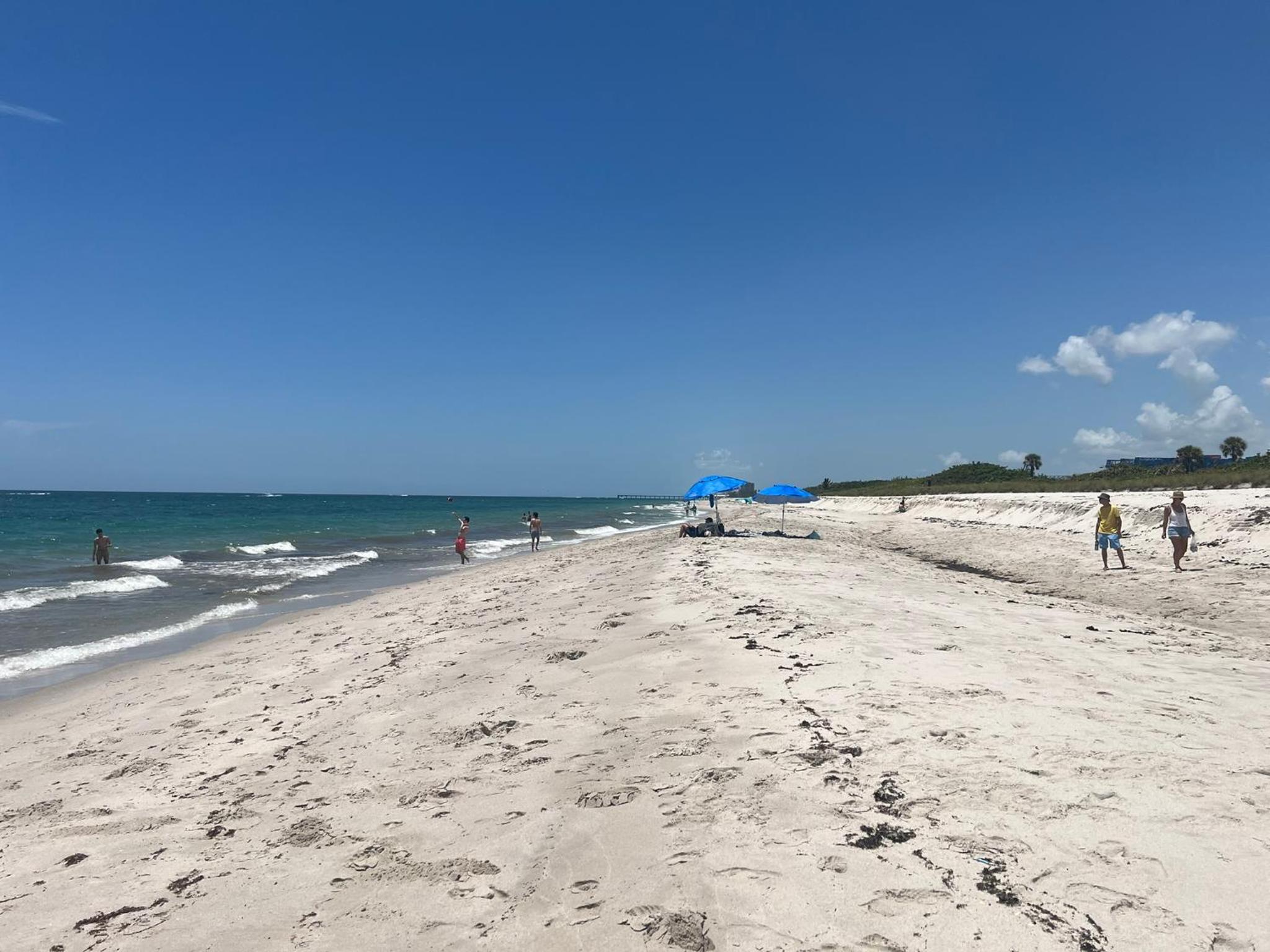 Waterfront Retreat Home Dania Beach