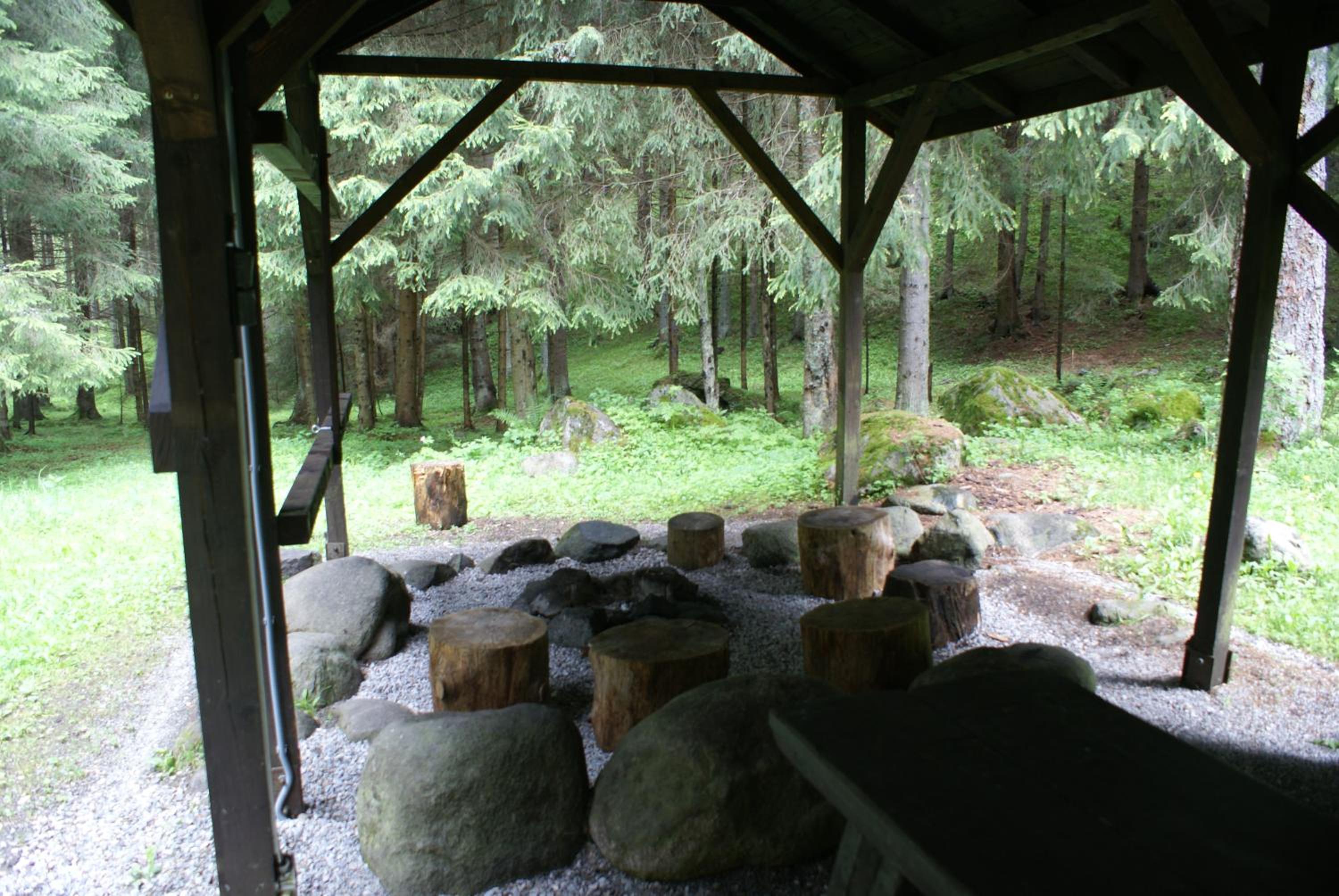 Photo 21