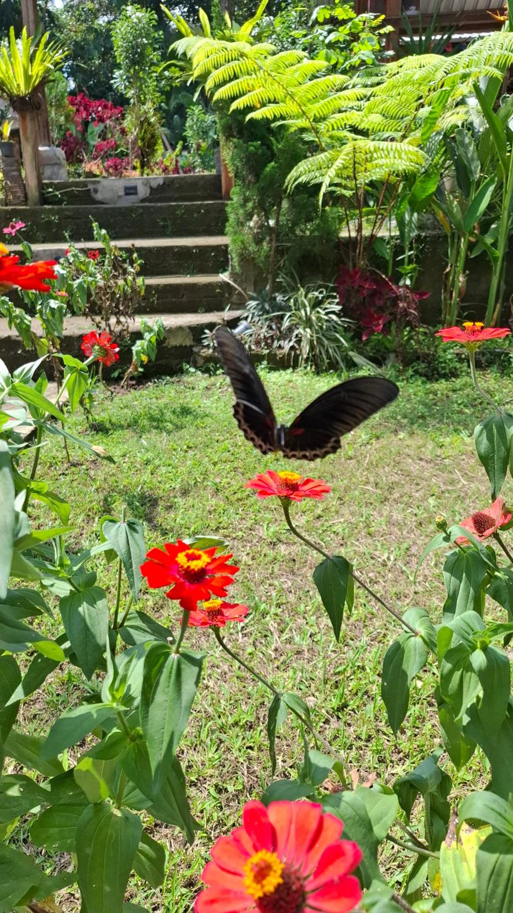 Bamboo Craft Homestay