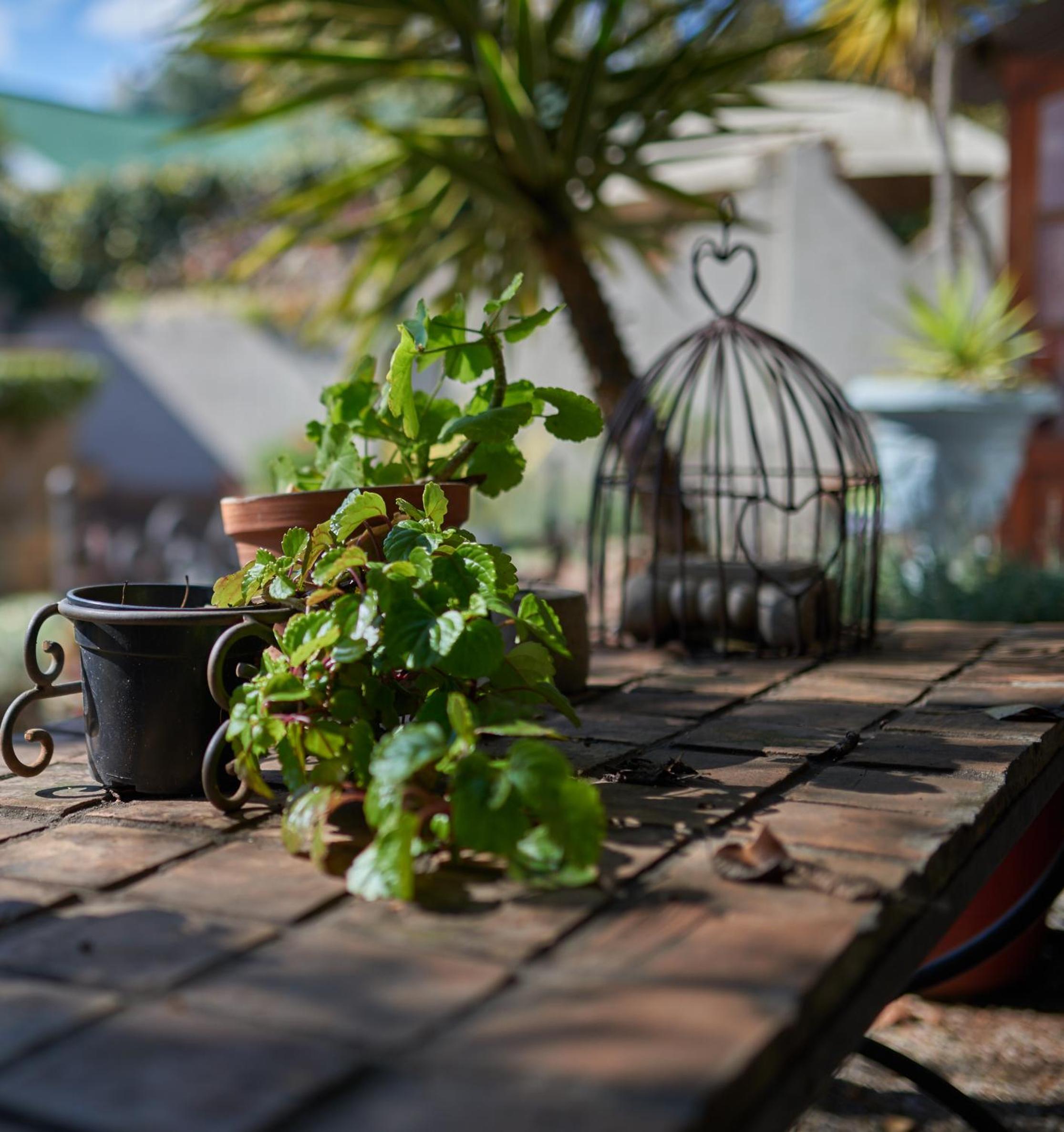 84 on Fourth Guest House