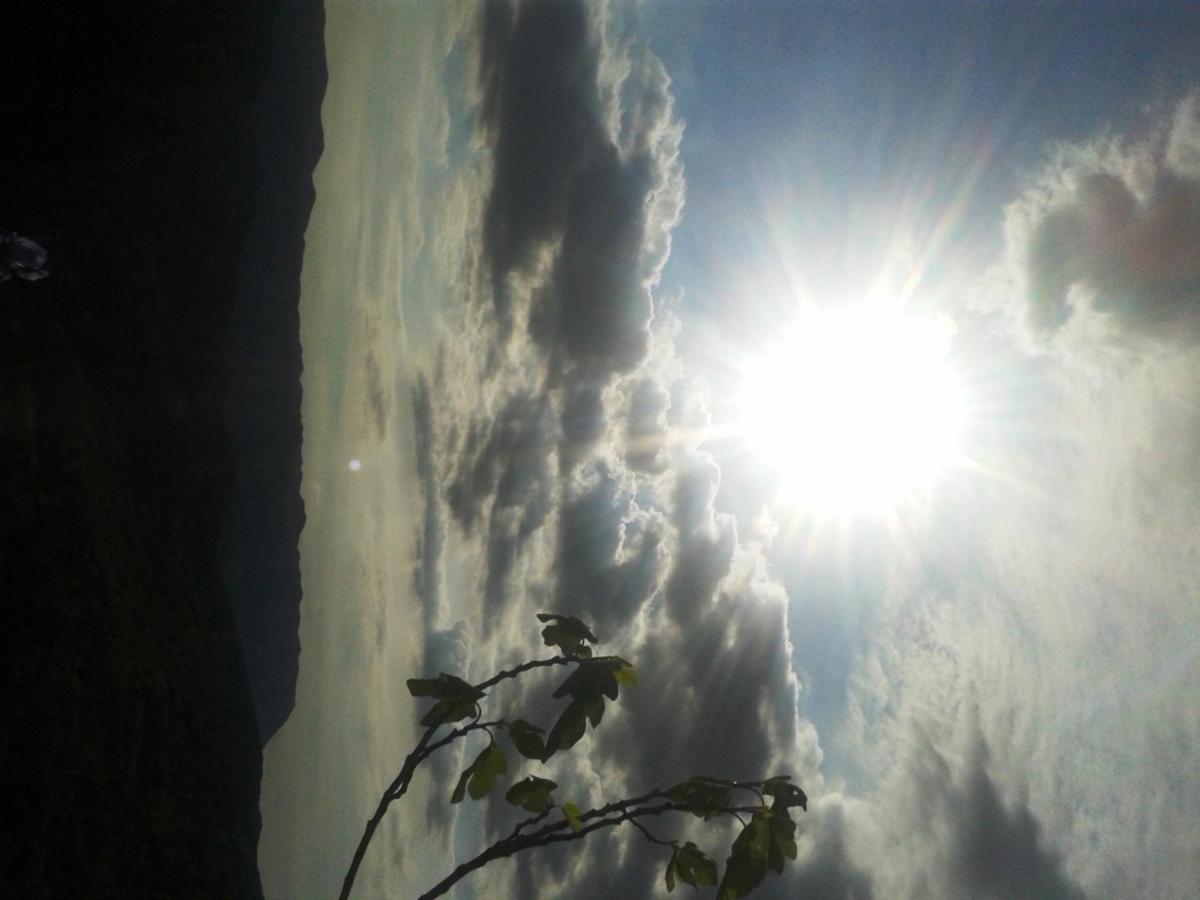Photo 34