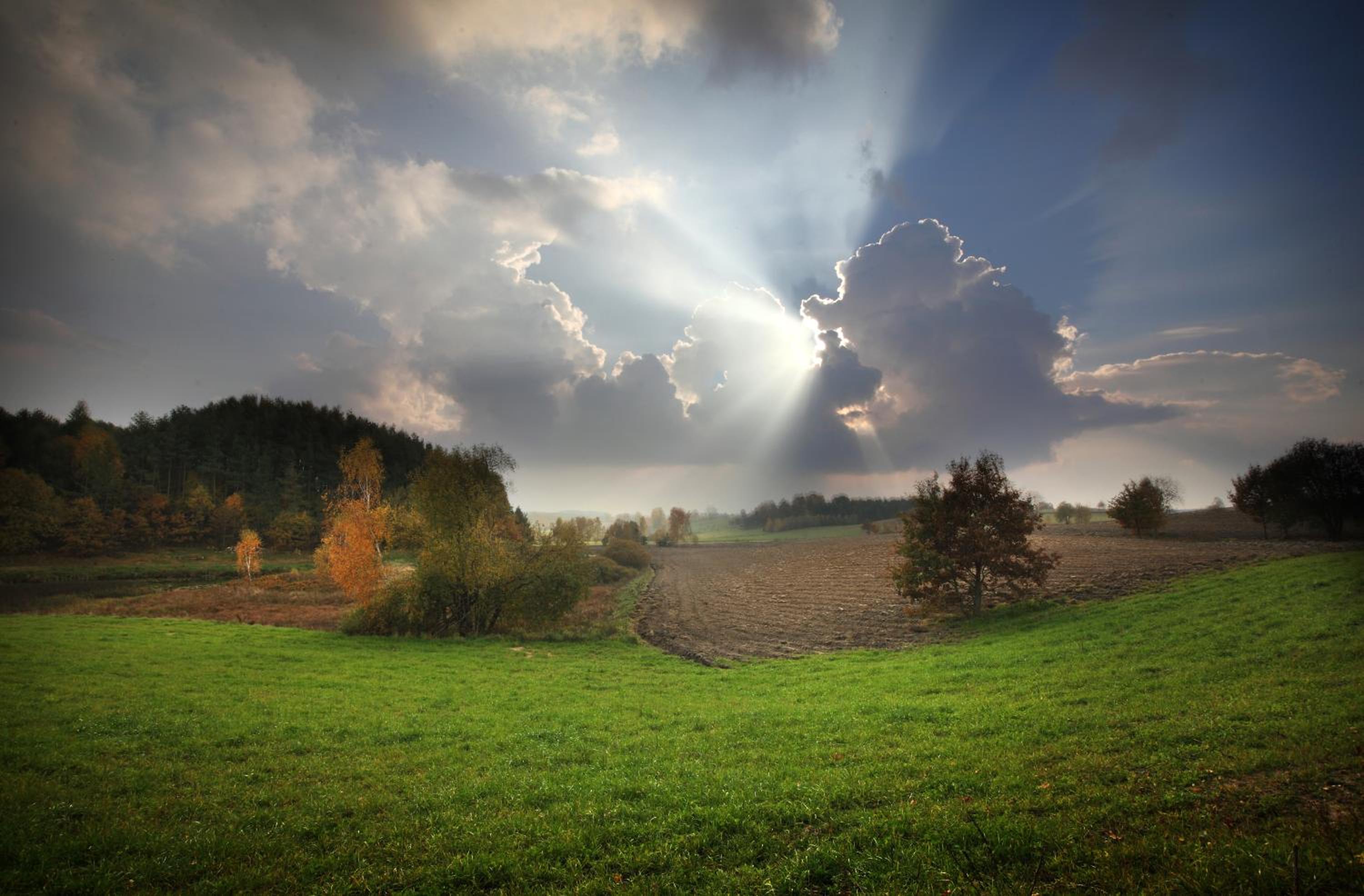 Pałac i Folwark Ńemino