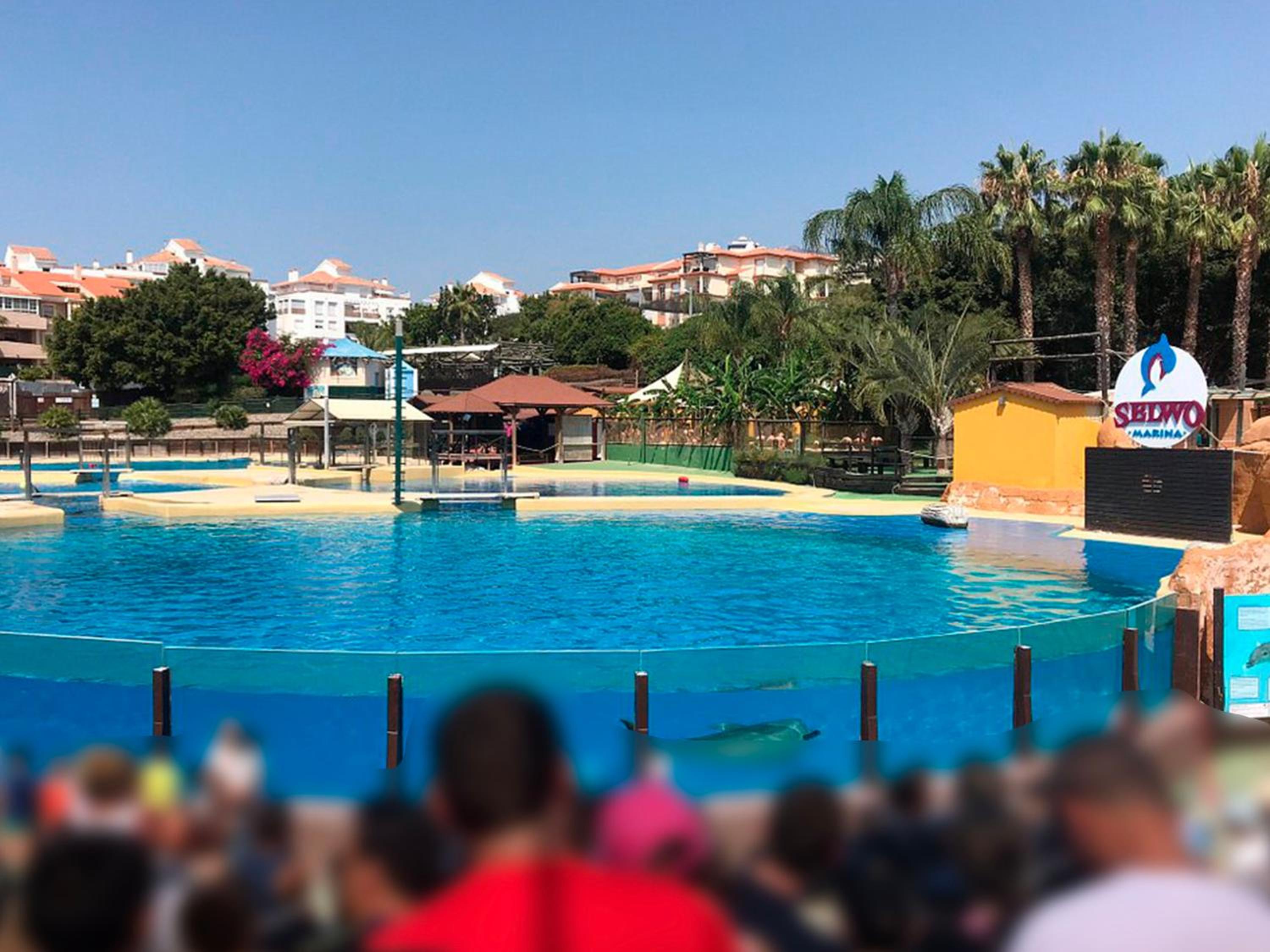 Camorreto Beach & Pool Apartment