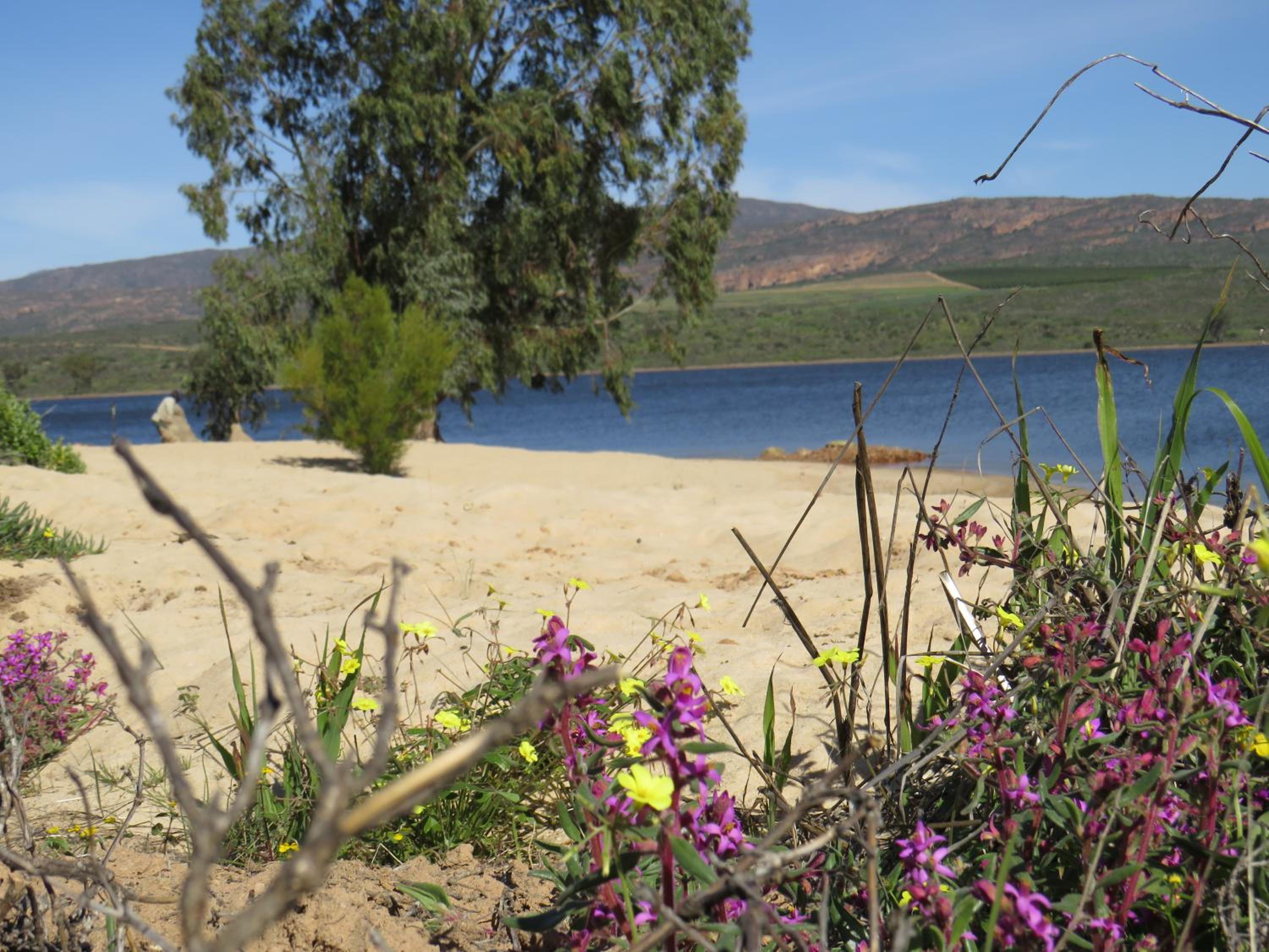 Yamu Lifestyle Resort