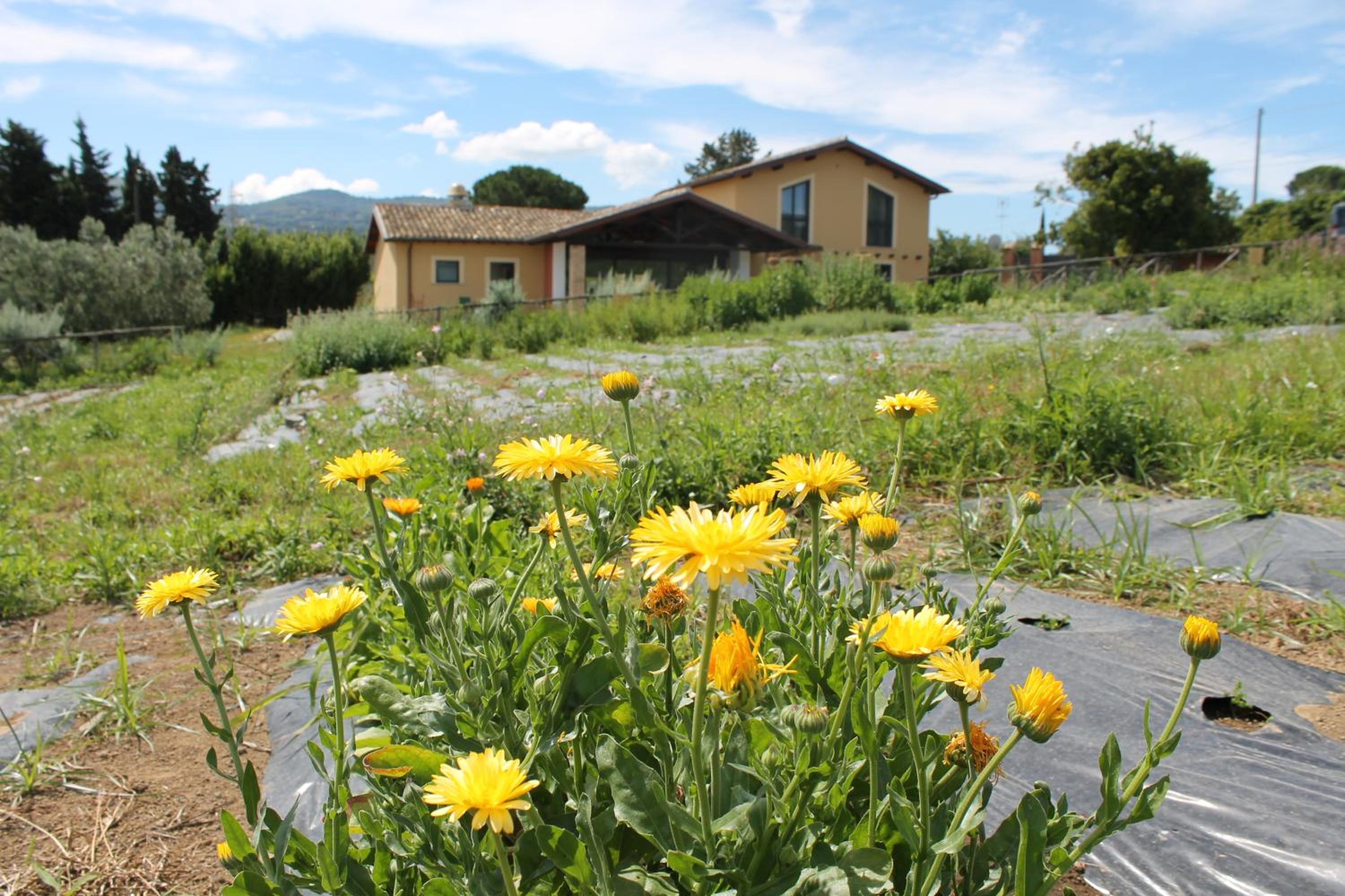 Country House Erba Regina