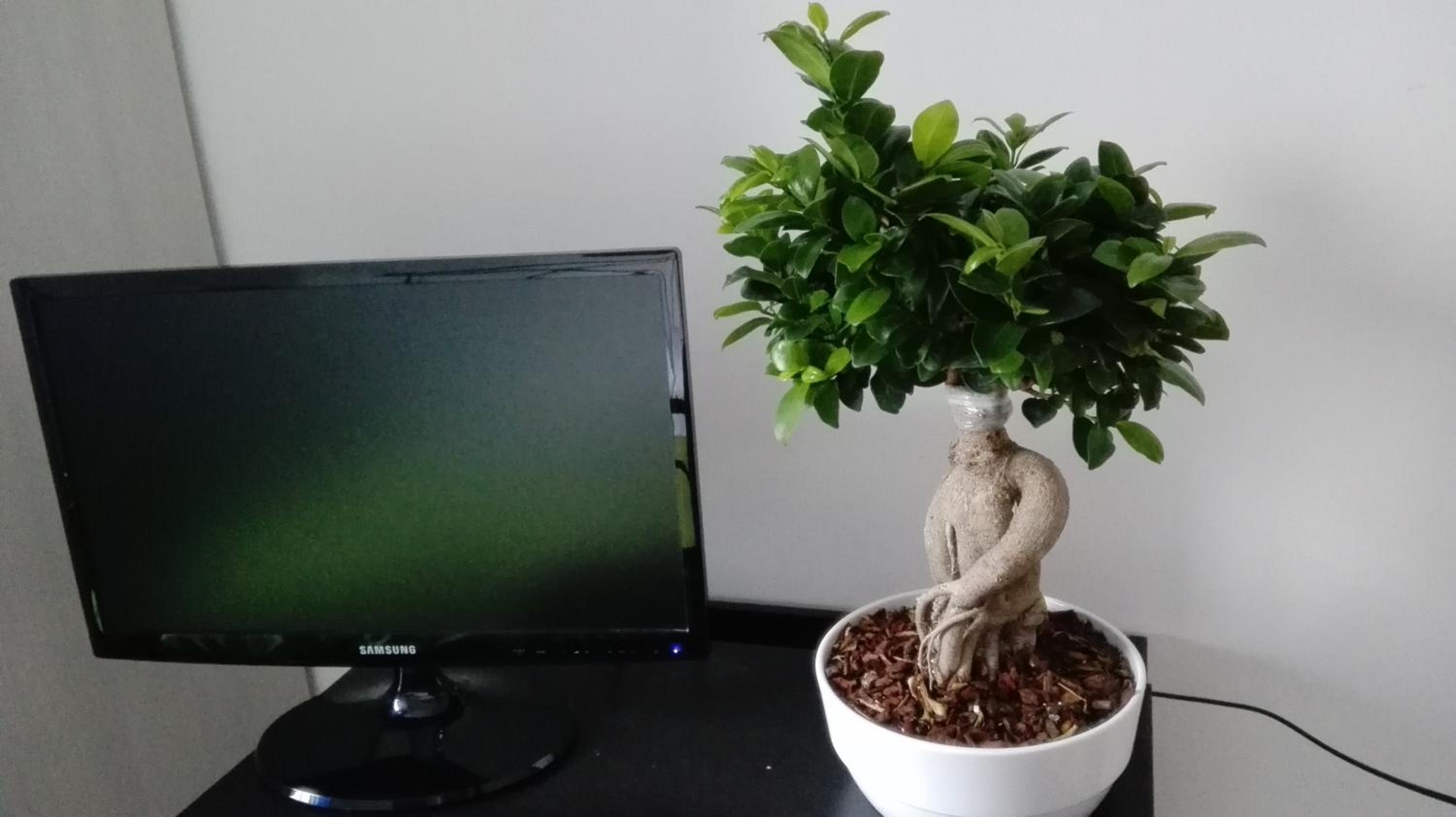 Photo 21