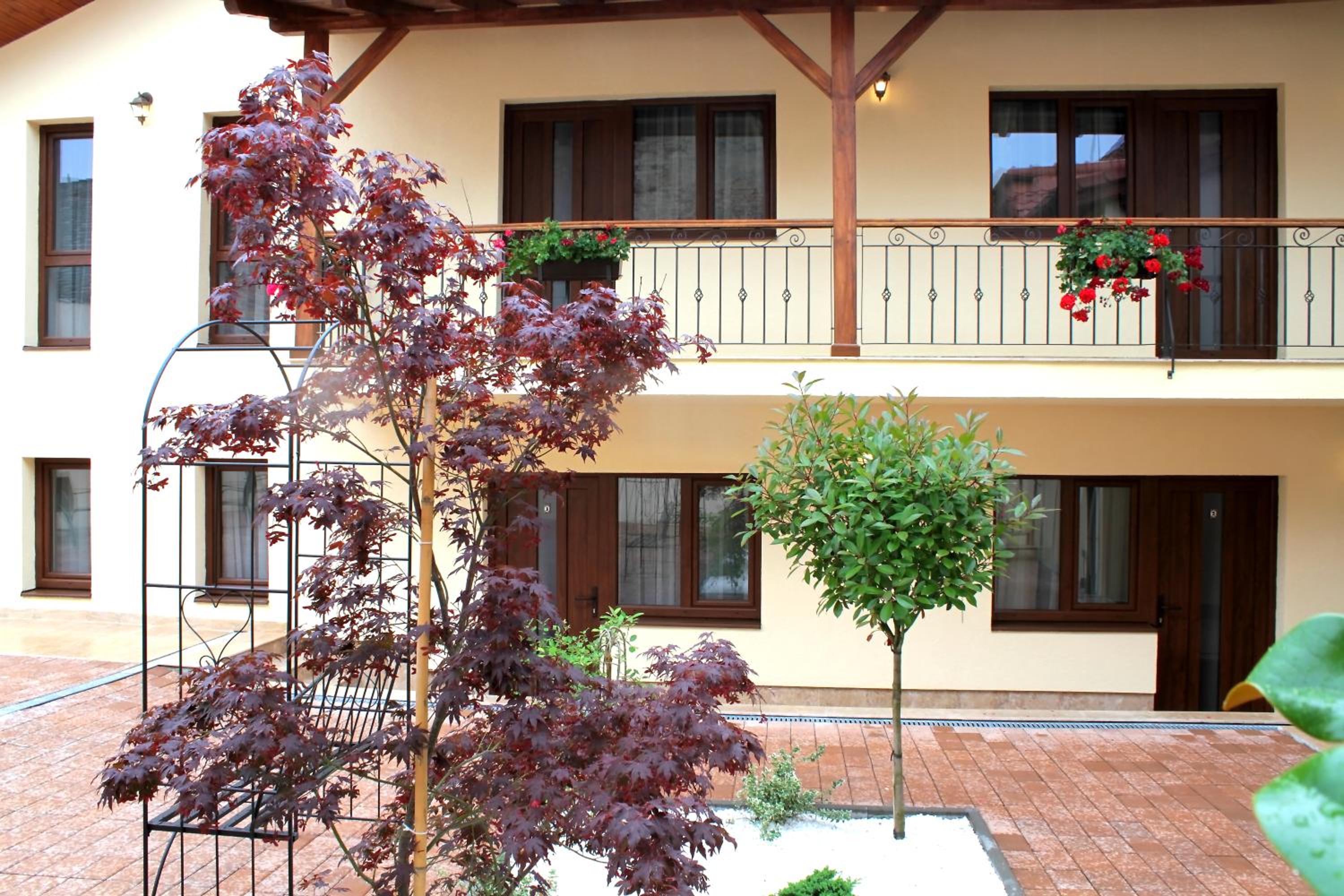 Rosen Villa Sibiu — photo 84