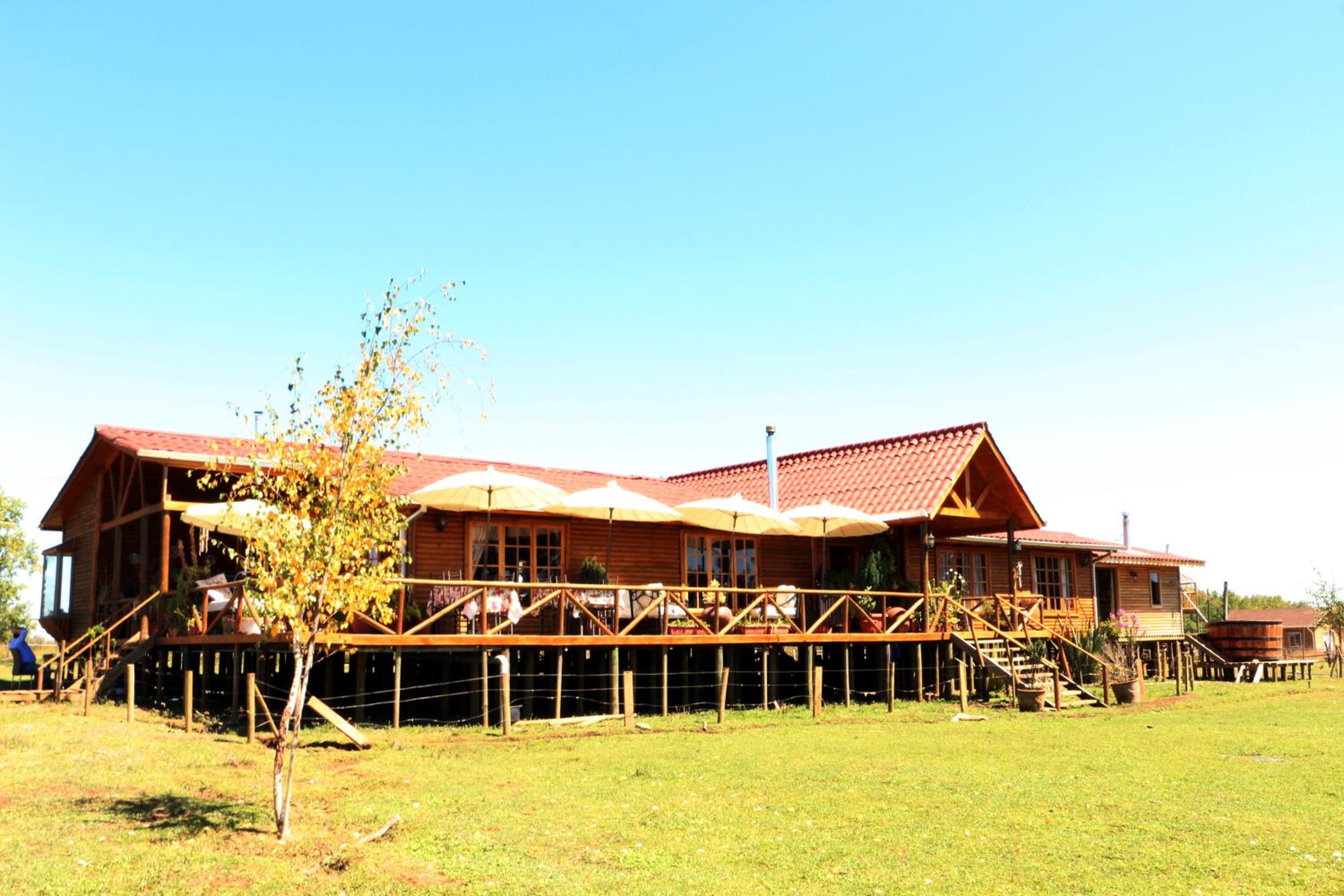 B&B Shambala HN