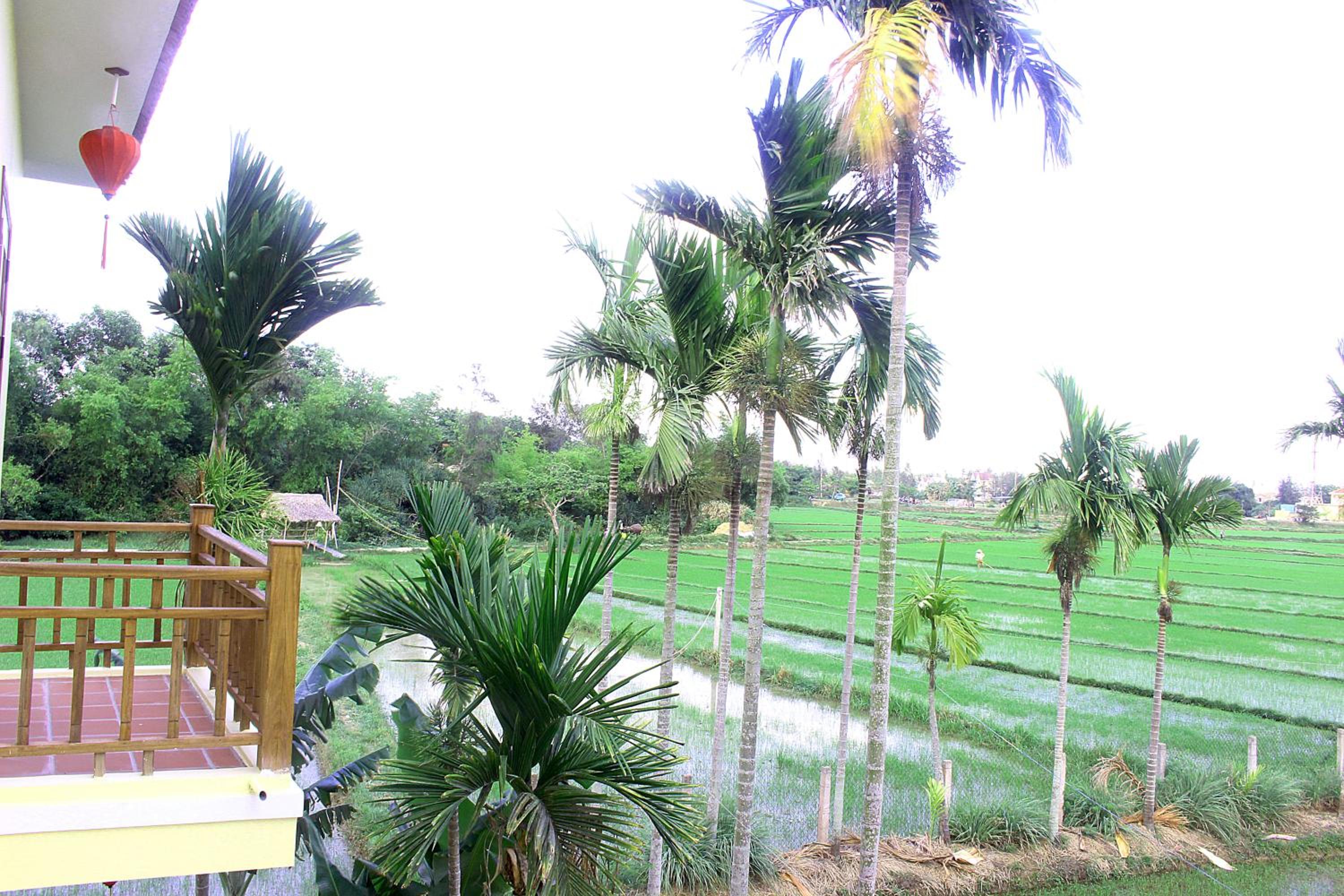 Lama Villa Hoi An