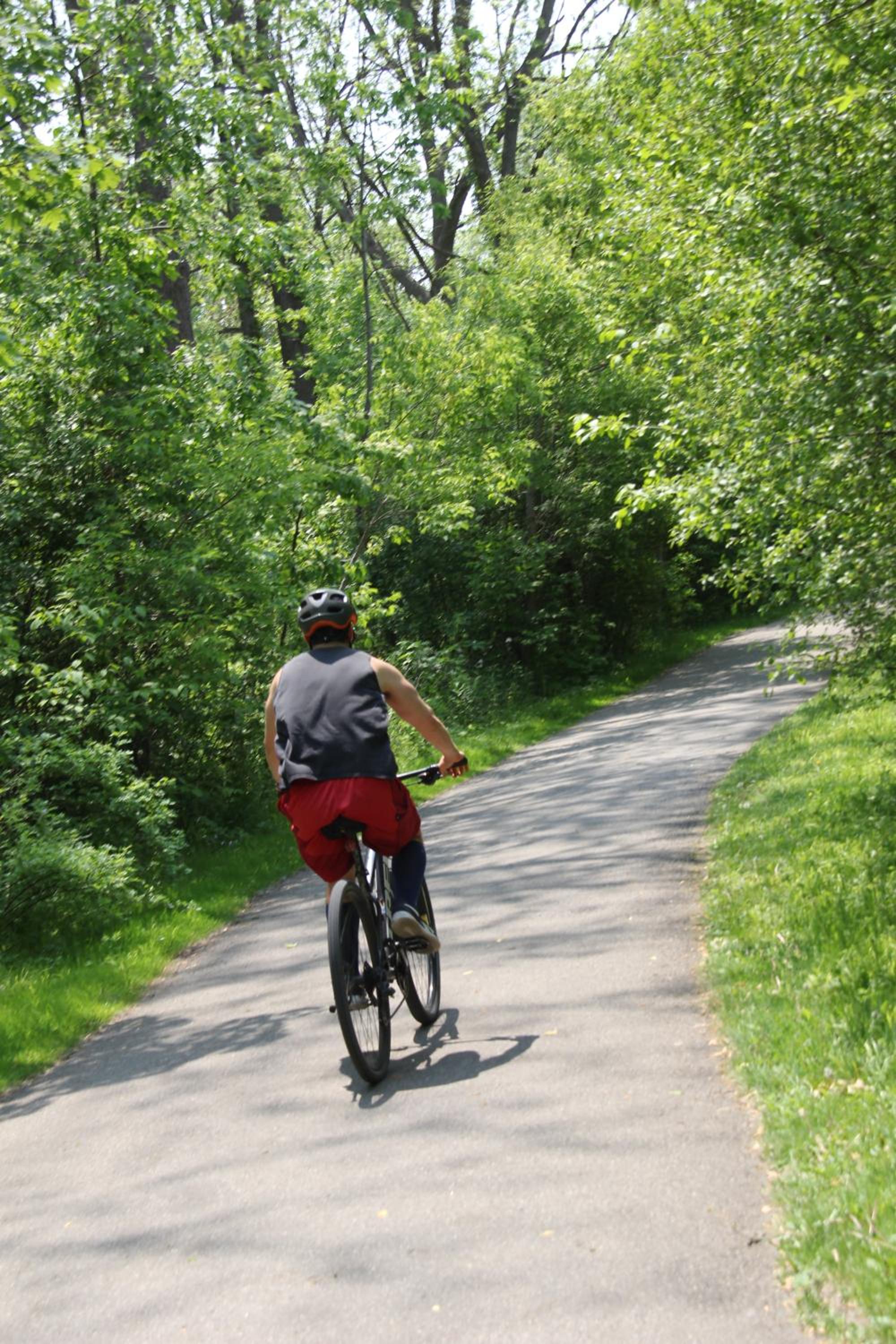 Serene Don River Nature gateway- 2BR suite, Private Patio, Free Parking
