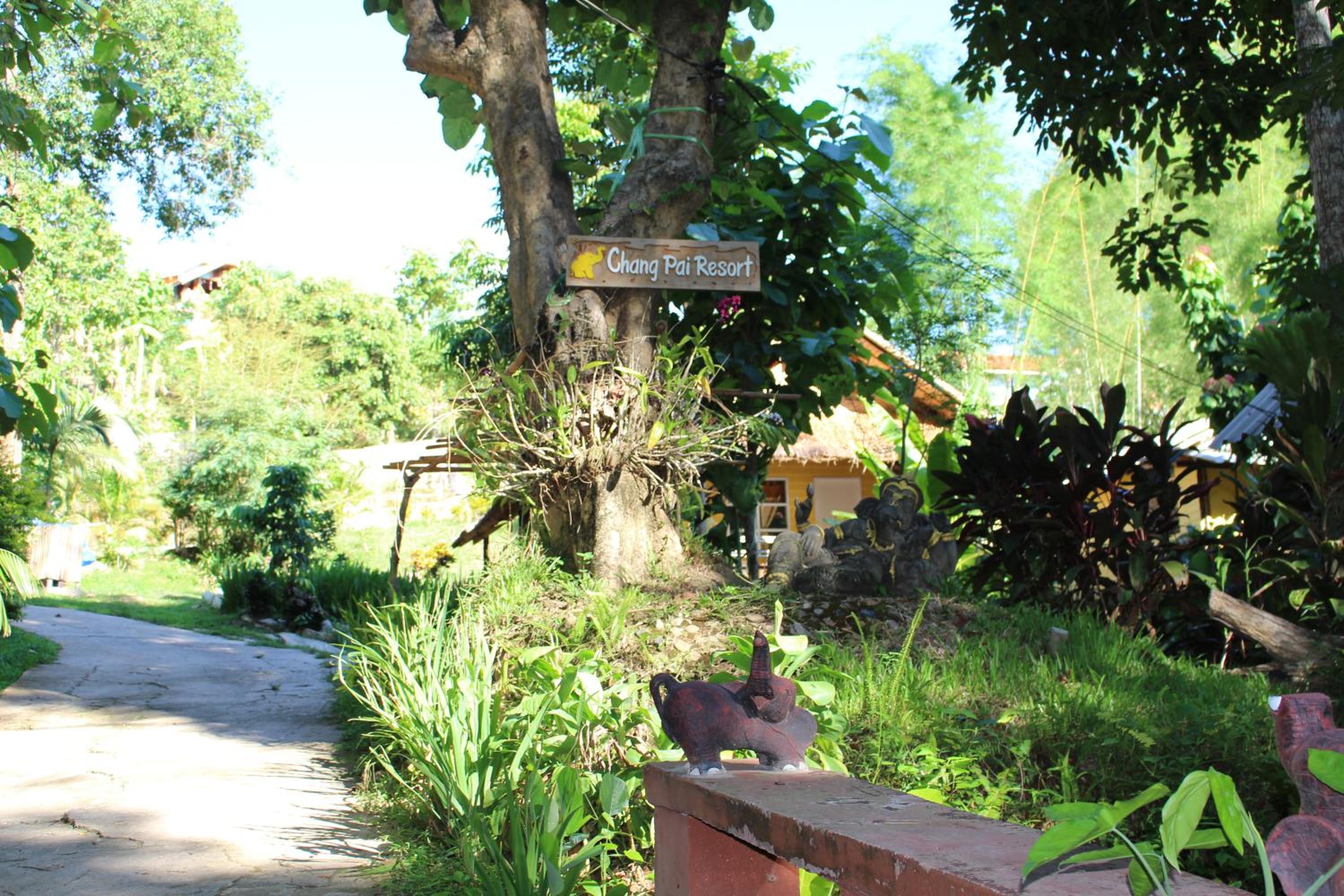 Photo 23