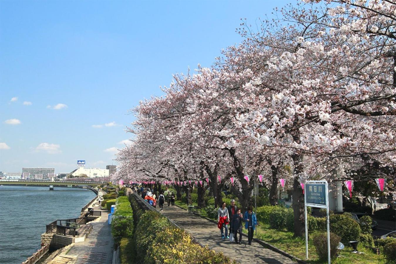 Latte Sakura View Oshiage, 10min walk to Tokyo Skytree, walk to Asakusa