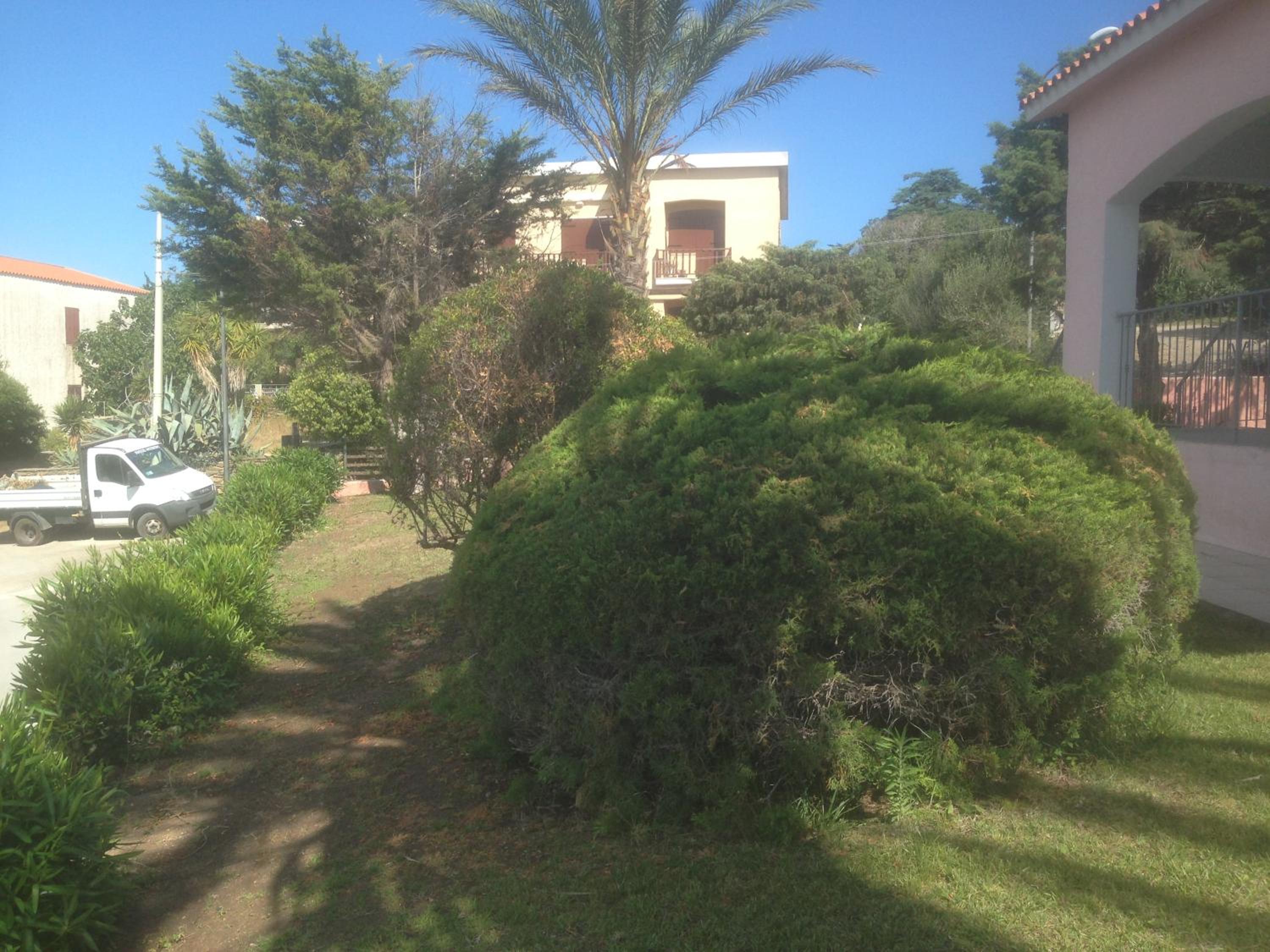 Photo 48
