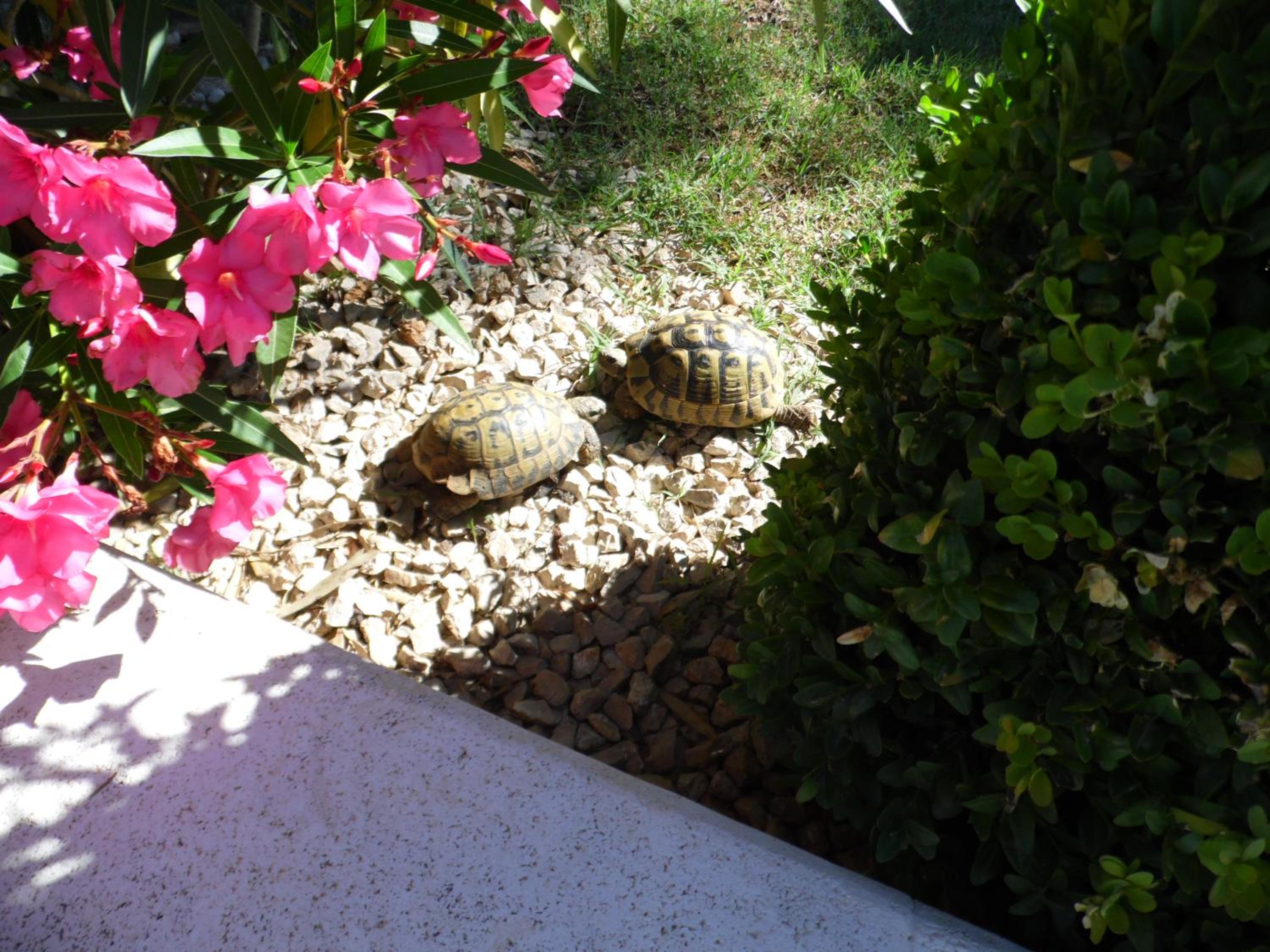 Photo 32