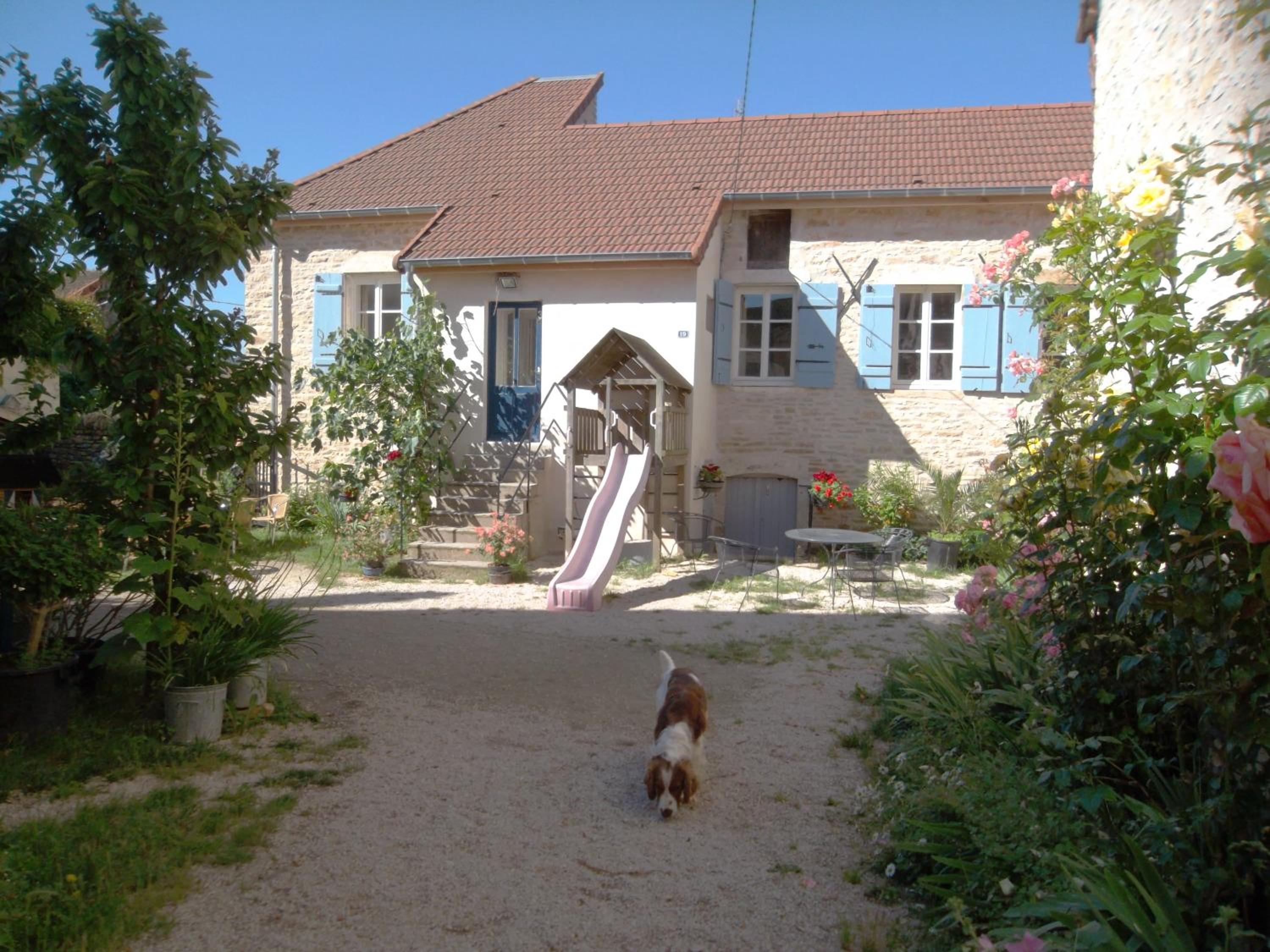 Photo 11