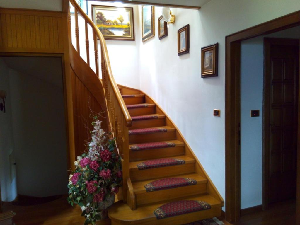 Photo 52