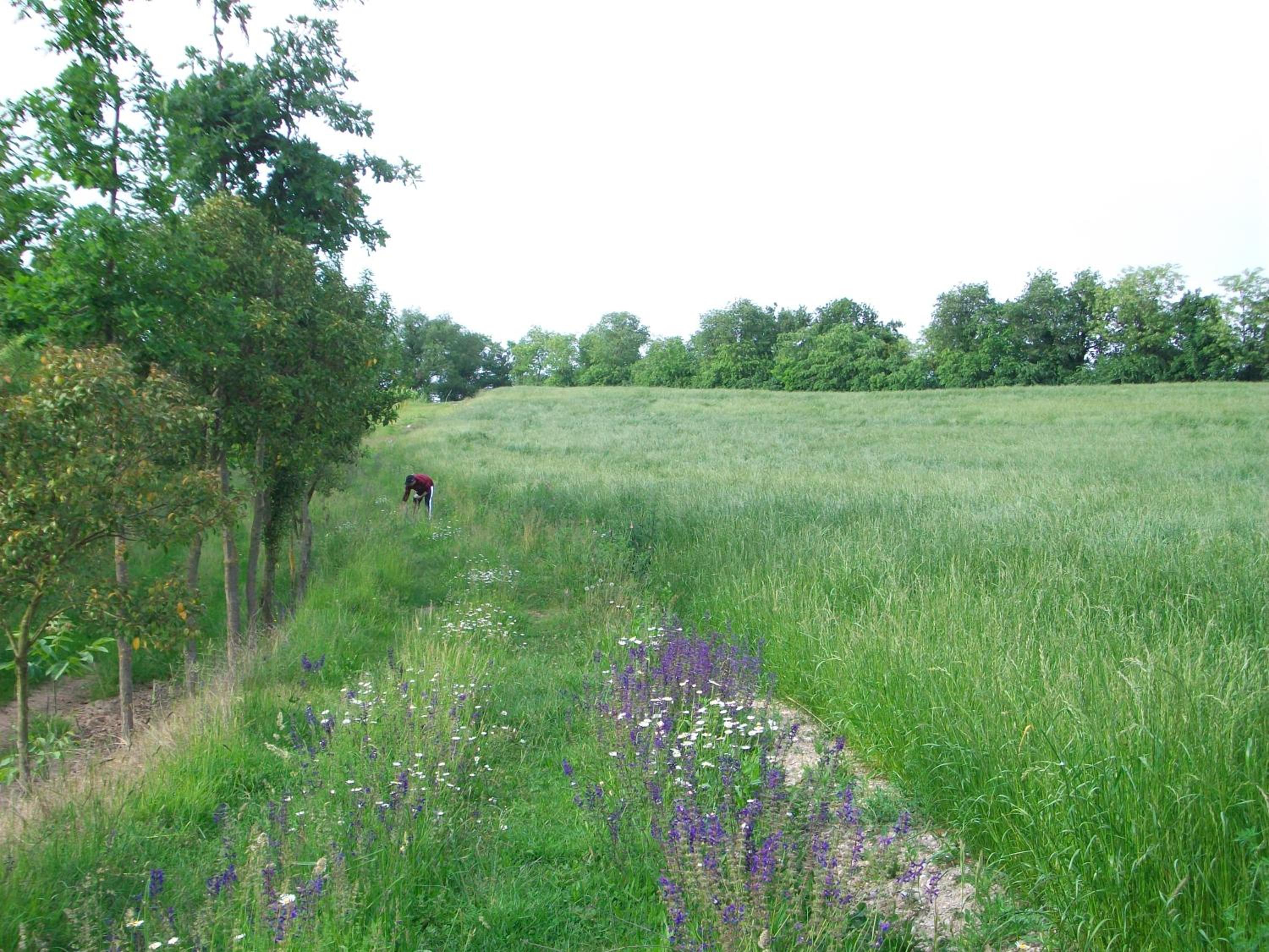 Agriturismo Radaméz