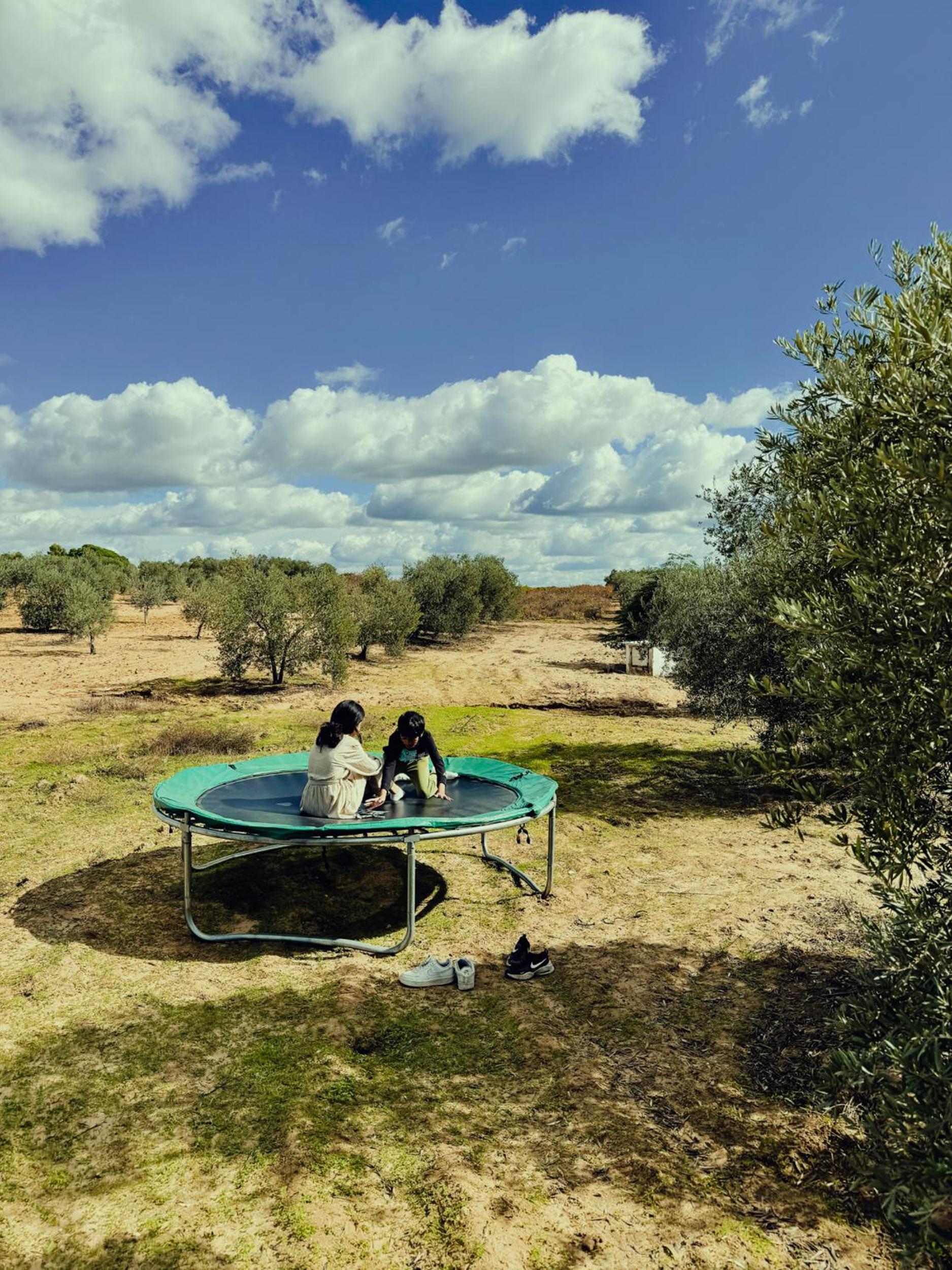 Olivida Farm