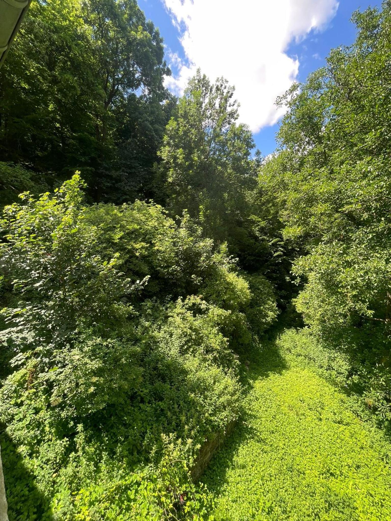 Naturerlebnis direkt am Traumpfad