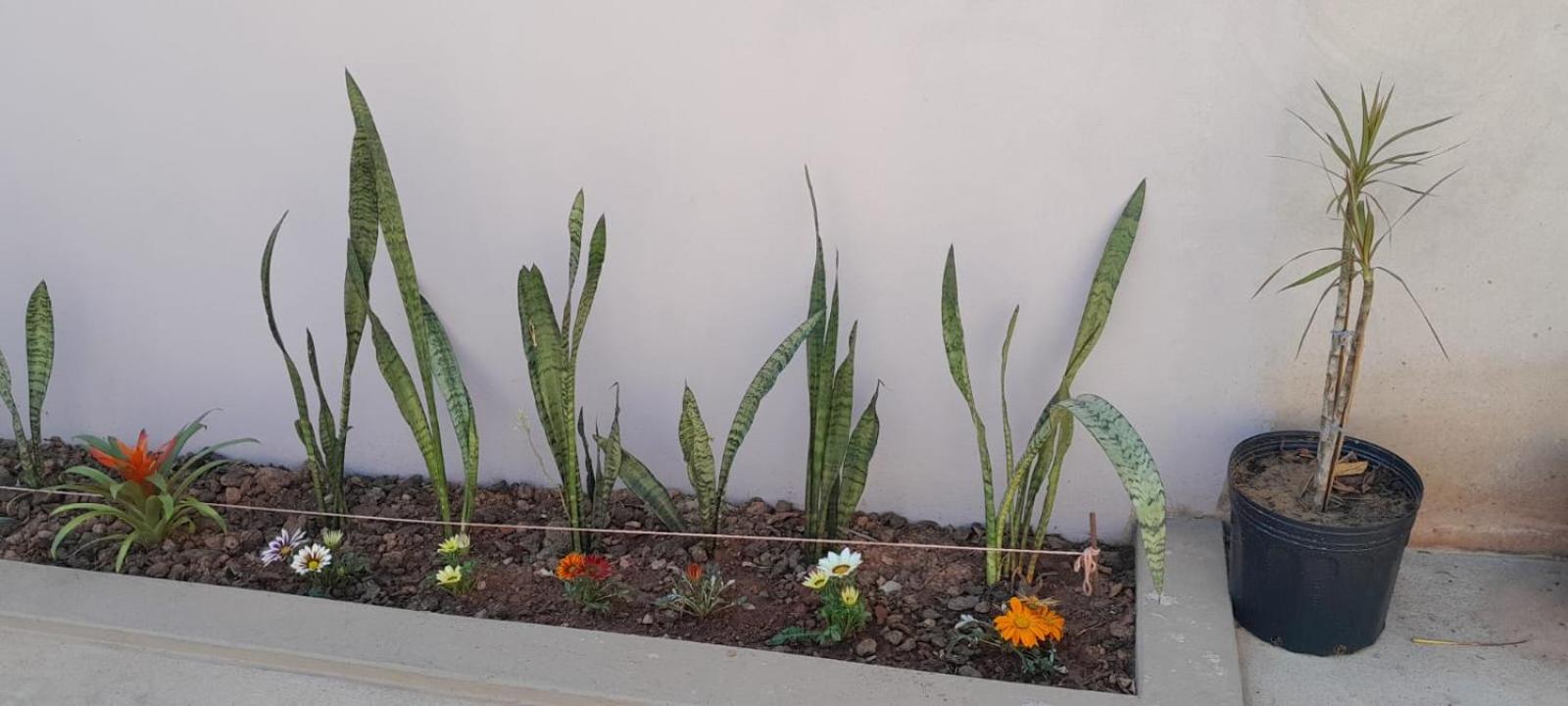 Garden House Canastra