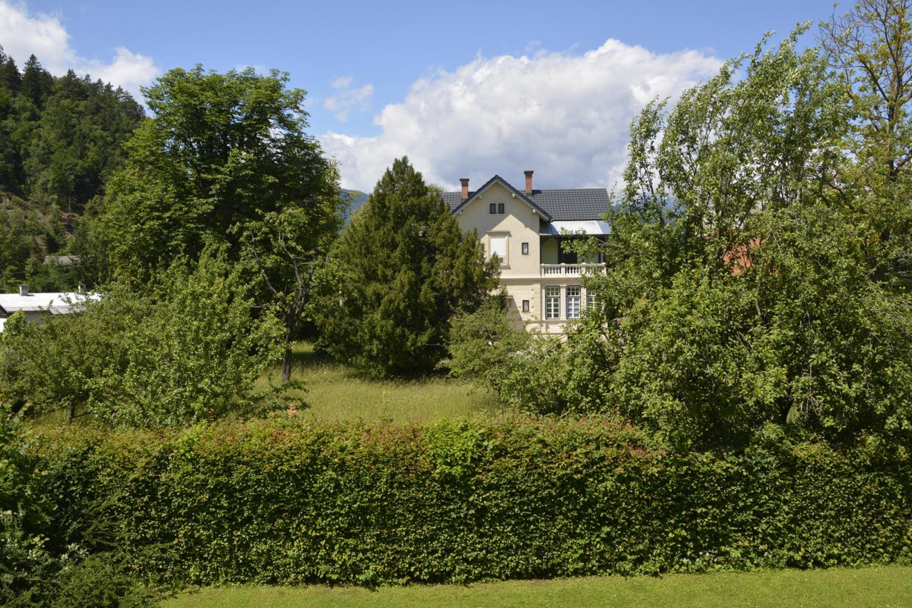 Photo 14