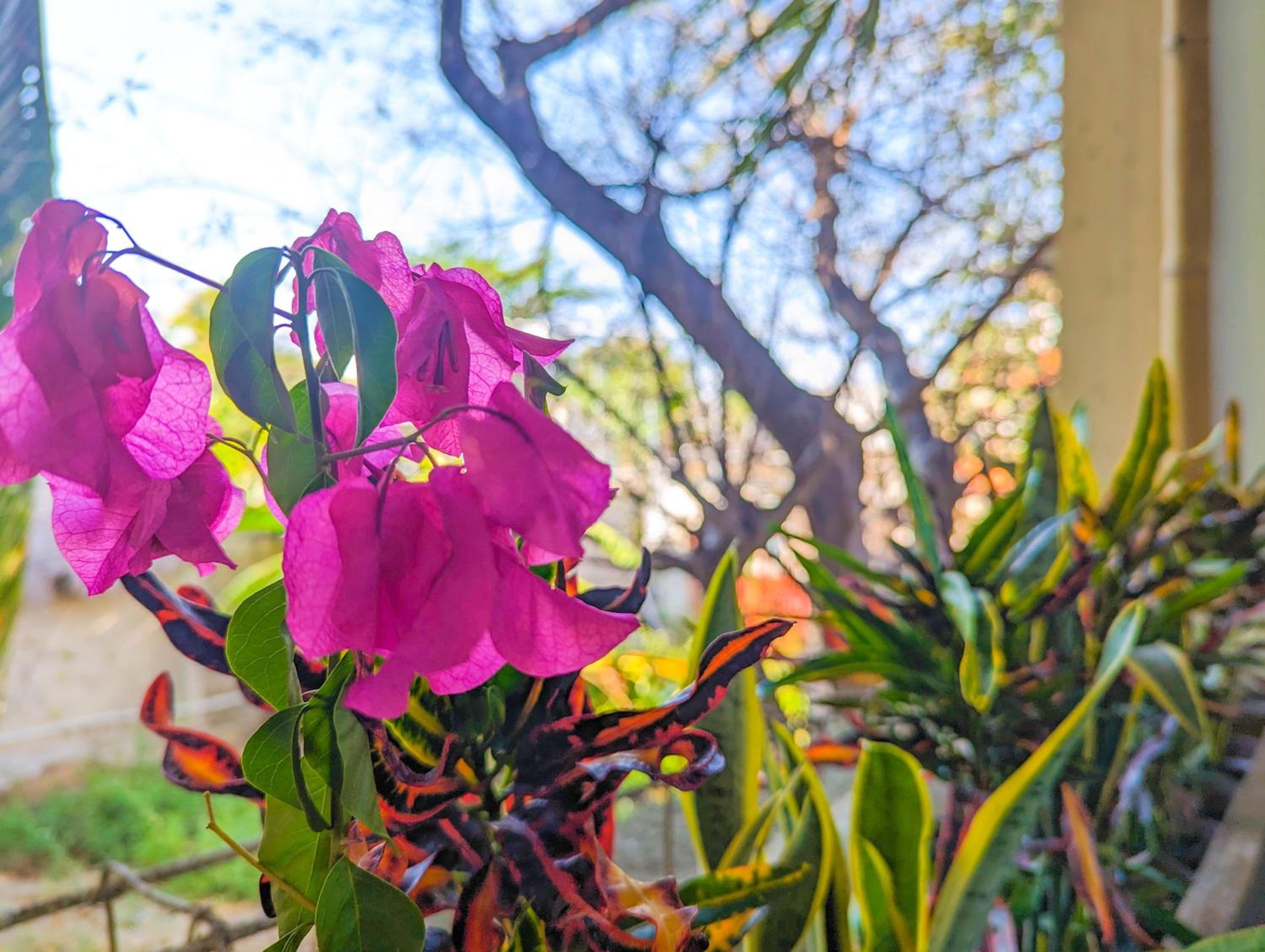 Romantic Escape 1 Bedroom 500m from Beach King Bed Pool Gym Fast WiFi 204