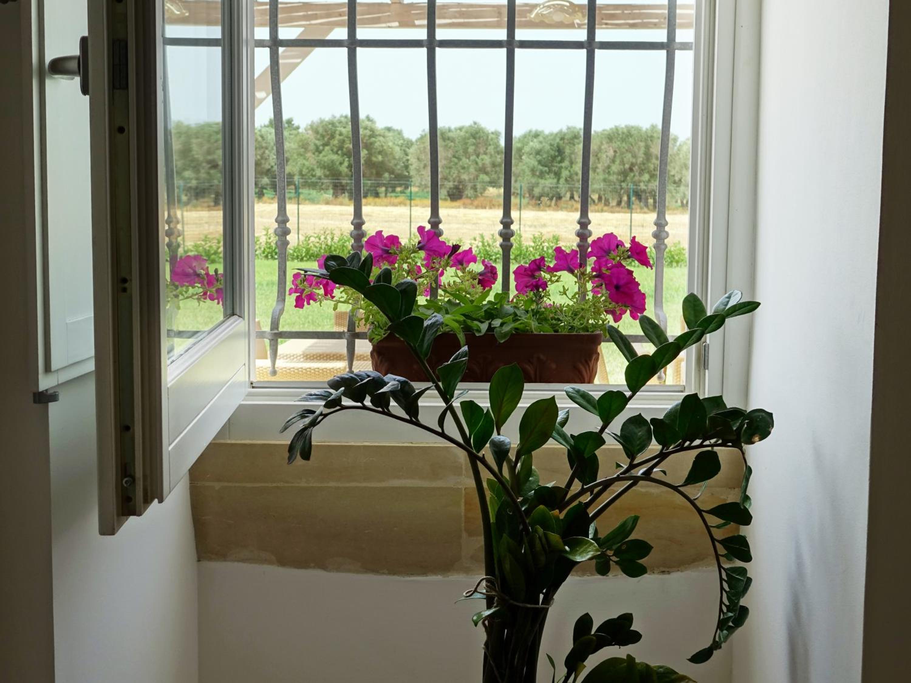 Casina Bardoscia