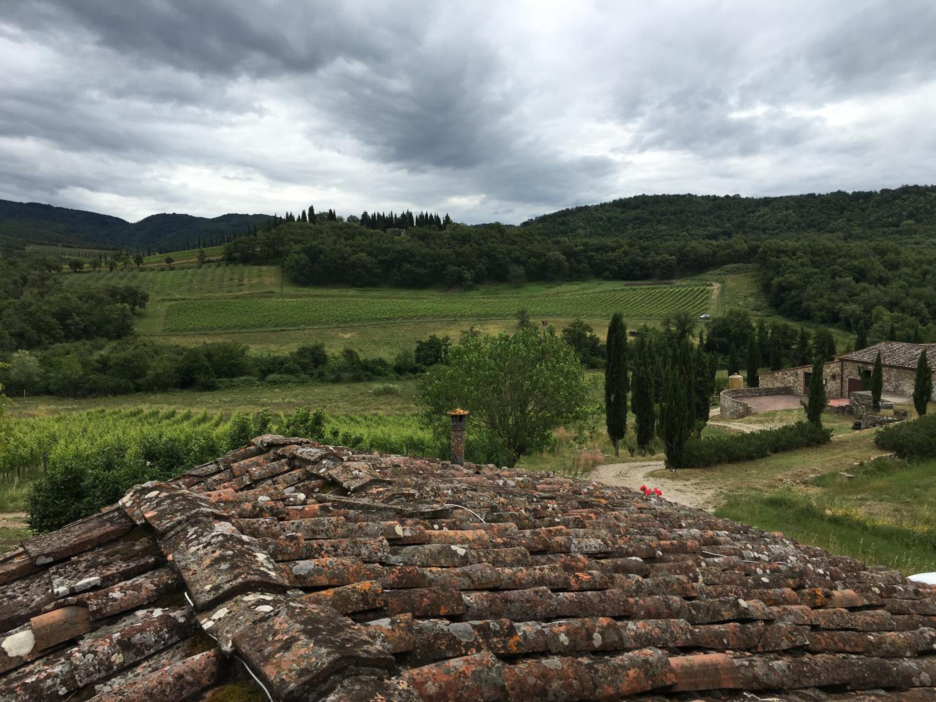 Radda in Chianti Vacations - Podere Terreno alla via della volpaia - Property Image 14