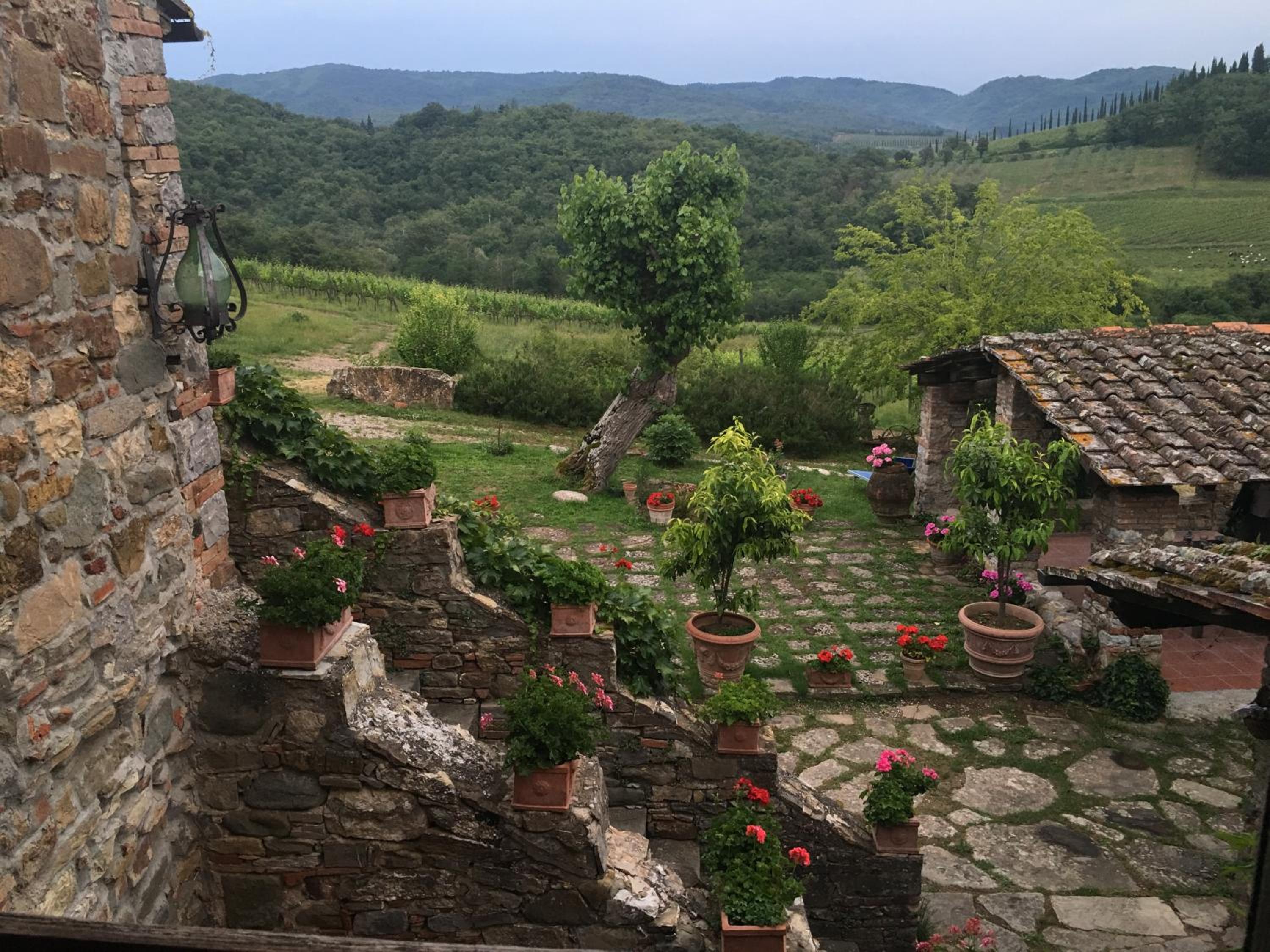 Radda in Chianti Vacations - Podere Terreno alla via della volpaia - Property Image 16