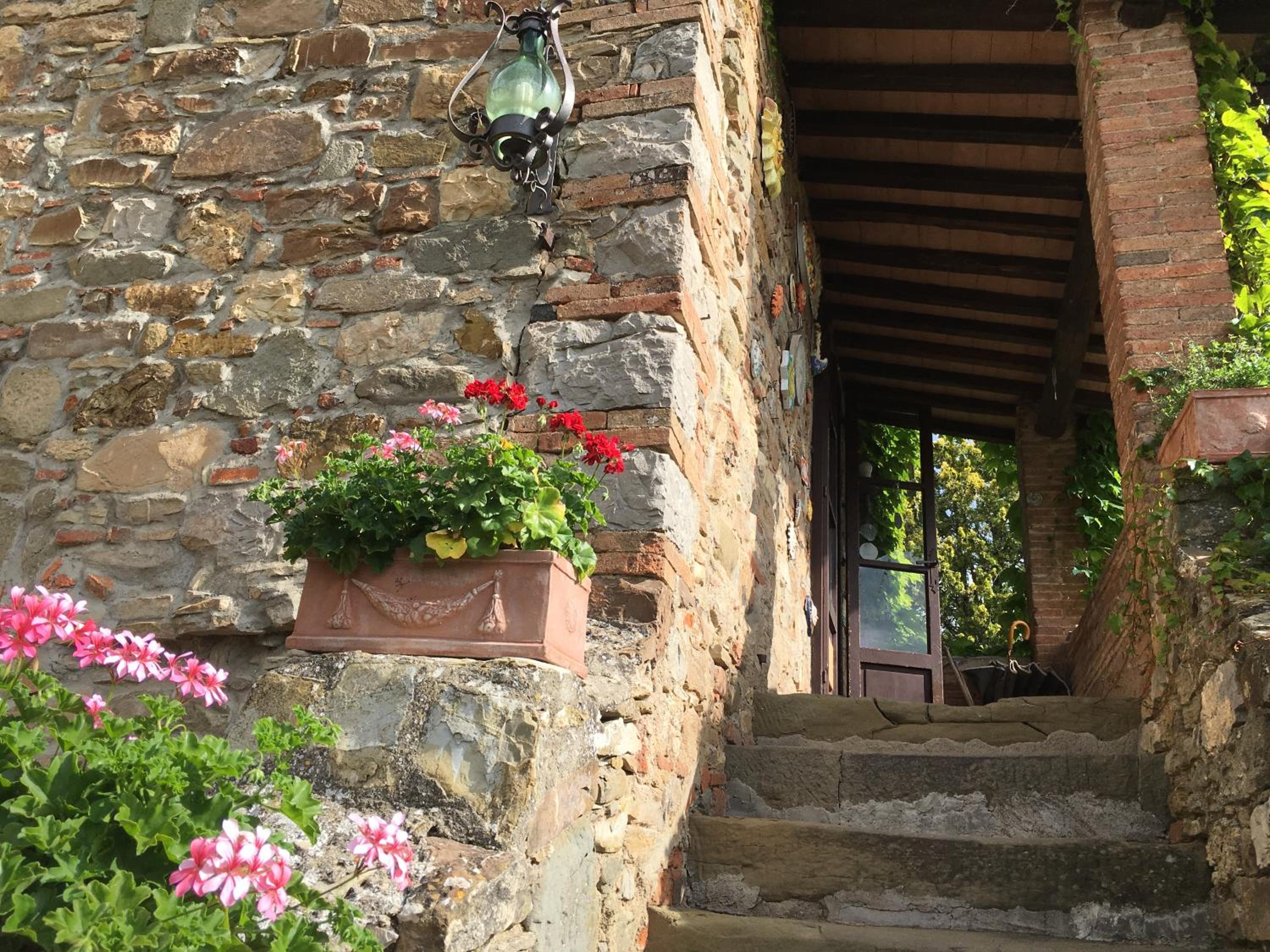 Radda in Chianti Vacations - Podere Terreno alla via della volpaia - Property Image 23