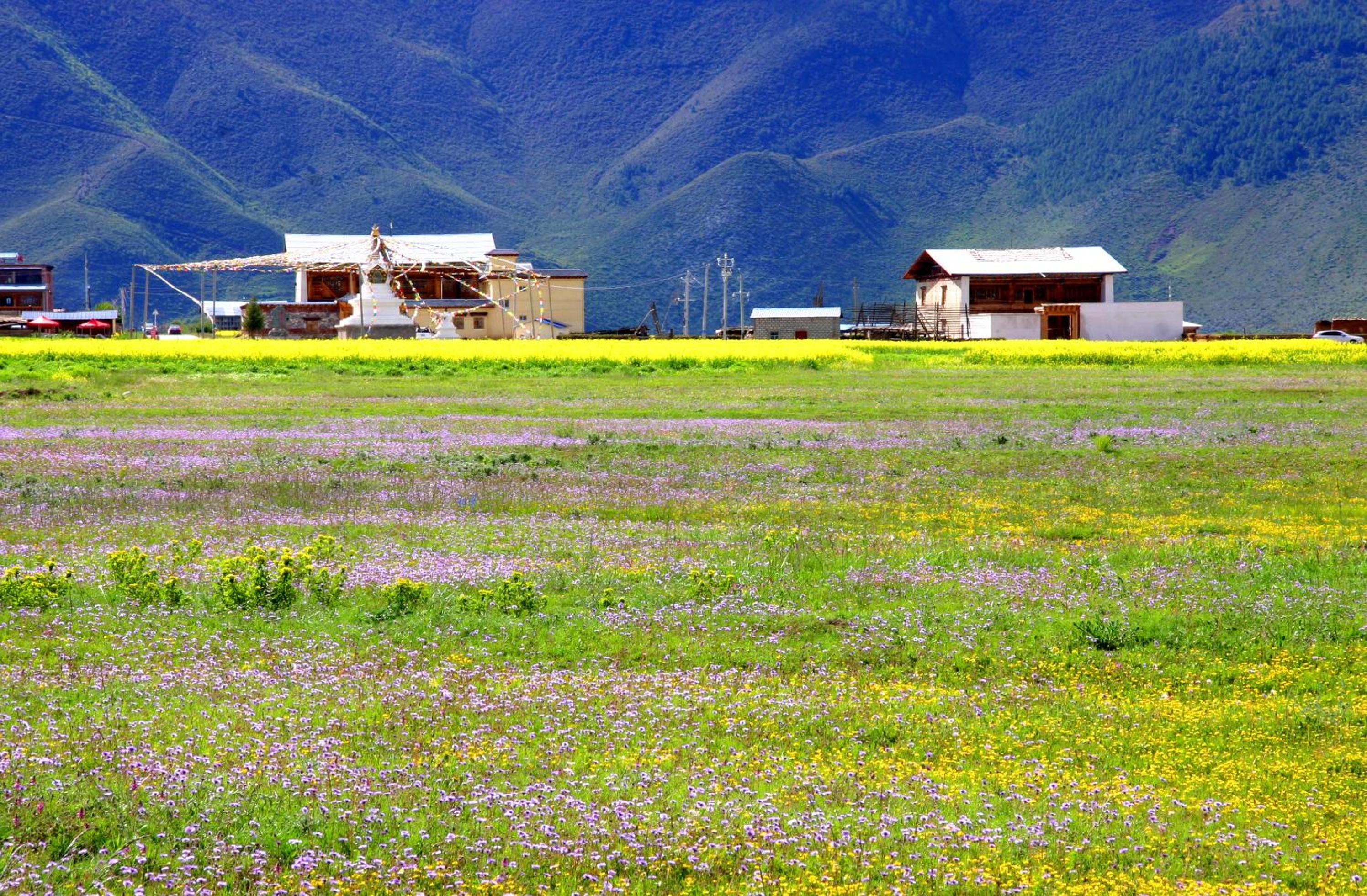 Shangri-La Lao Shay Youth Hostel