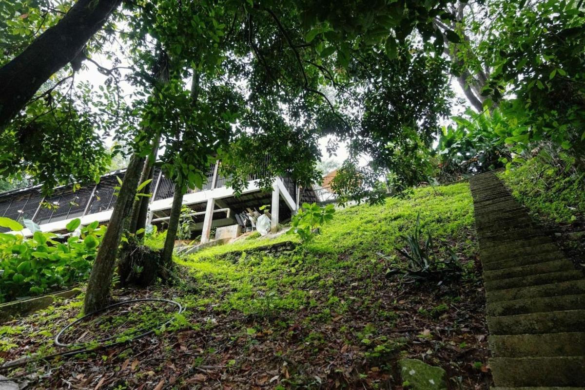 LilyJoe Treehouse Serendah