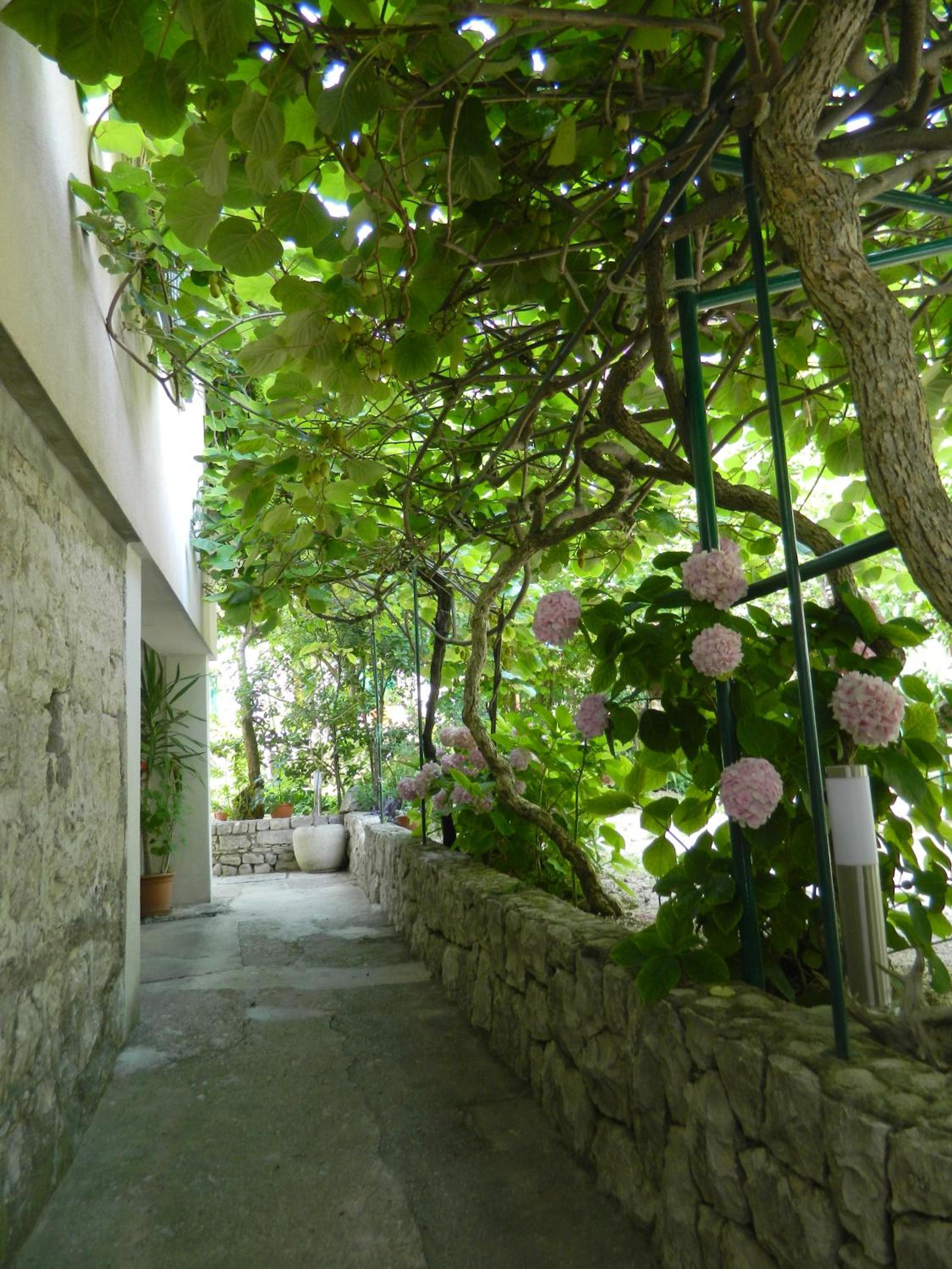 Photo 43