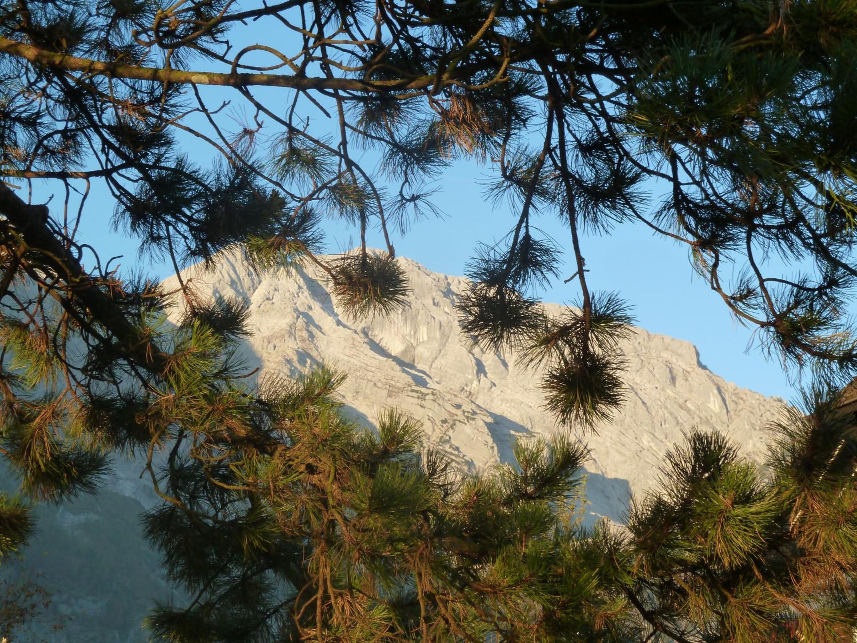 Pension Schöne Aussicht